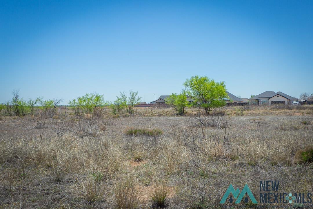 37 Driftwood Place, Roswell, New Mexico image 5