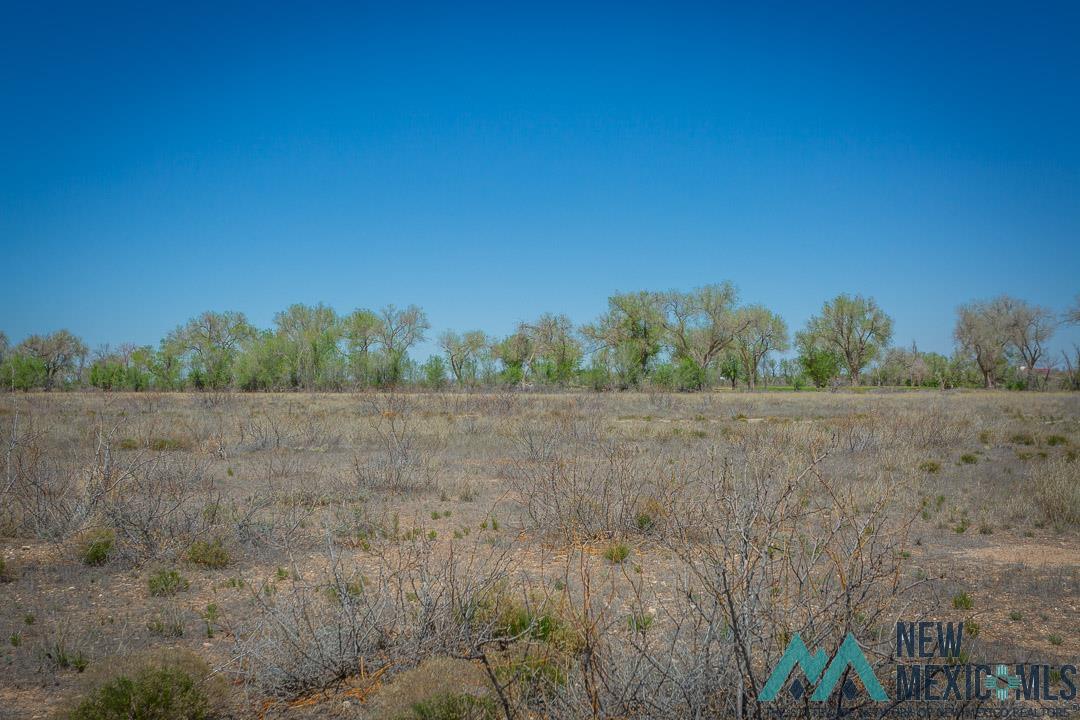 37 Driftwood Place, Roswell, New Mexico image 2