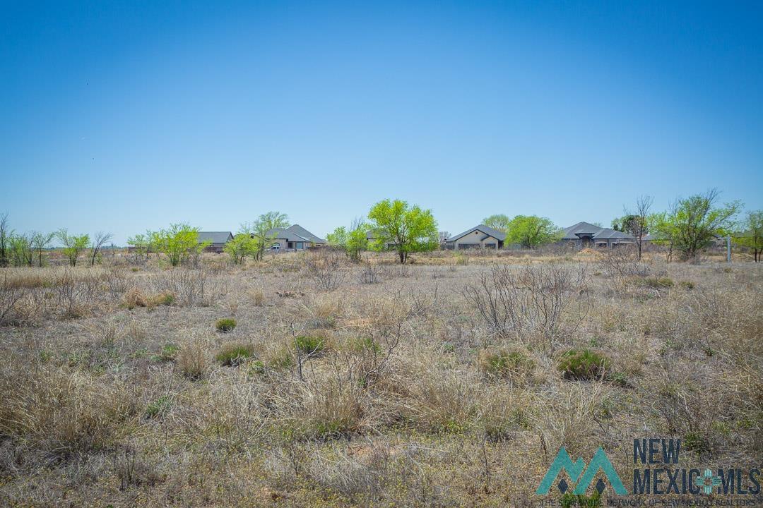 37 Driftwood Place, Roswell, New Mexico image 4