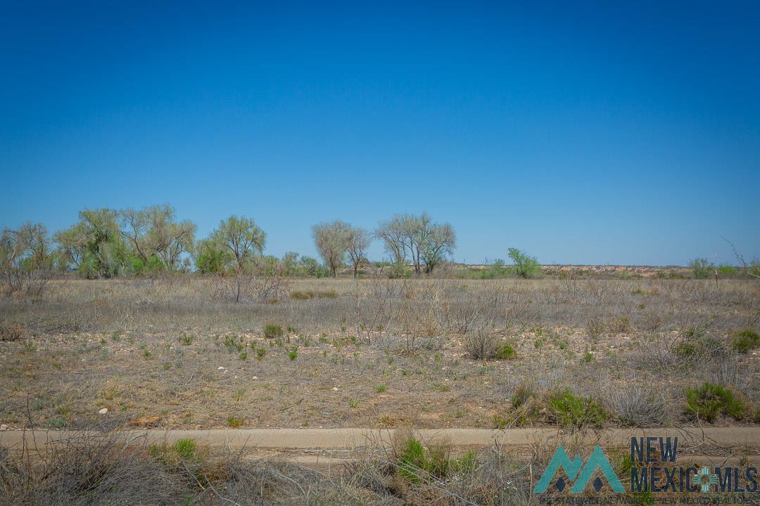 37 Driftwood Place, Roswell, New Mexico image 1