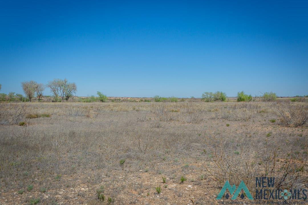 37 Driftwood Place, Roswell, New Mexico image 6