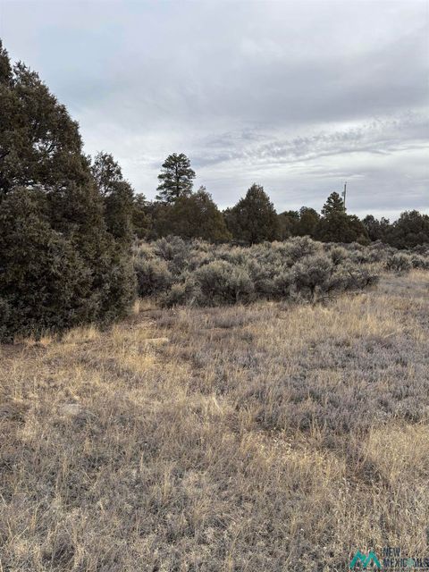 Vacant Land For Sale - LOTS 2 & 3 Parkview Hills<br/> Los Ojos, NM 87551
