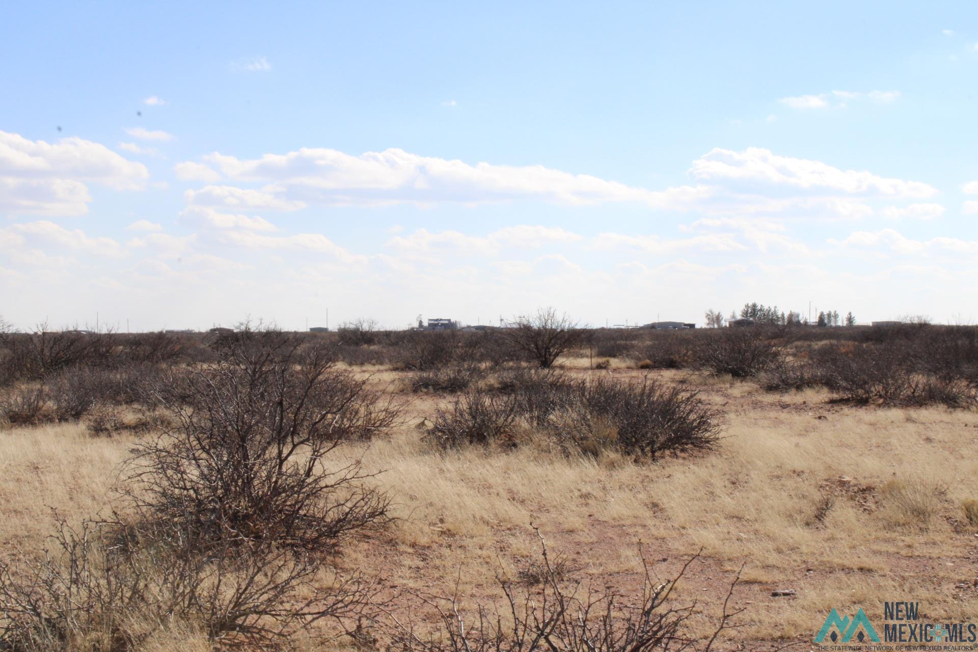 Hacienda Sur Luna Lot 20, Deming, New Mexico image 3