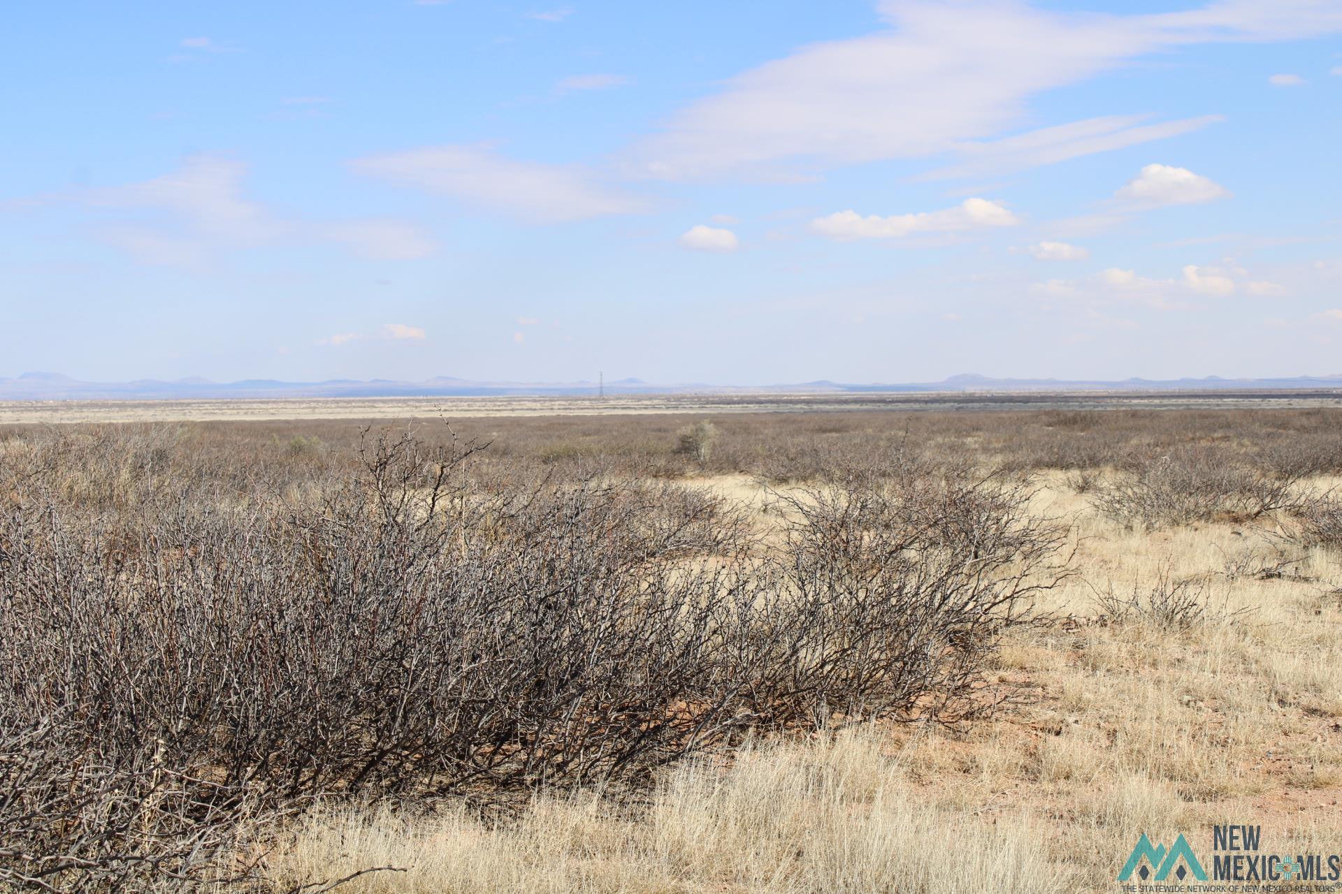 Hacienda Sur Luna Lot 20, Deming, New Mexico image 12