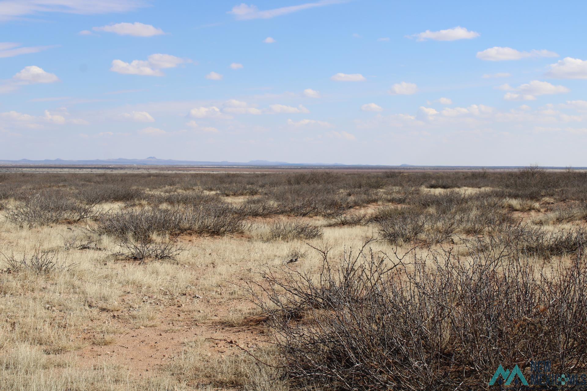 Hacienda Sur Luna Lot 20, Deming, New Mexico image 1