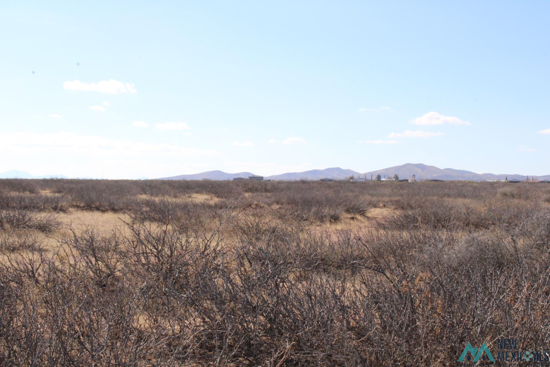 Hacienda Sur Luna Lot 20, Deming, New Mexico image 5