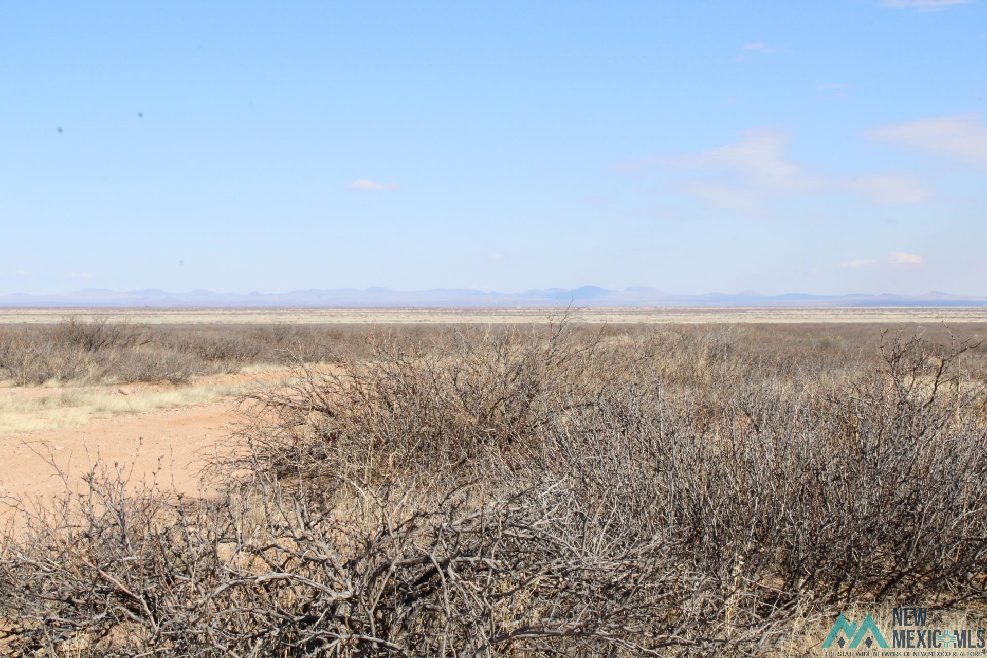 Hacienda Sur Luna Lot 20, Deming, New Mexico image 11