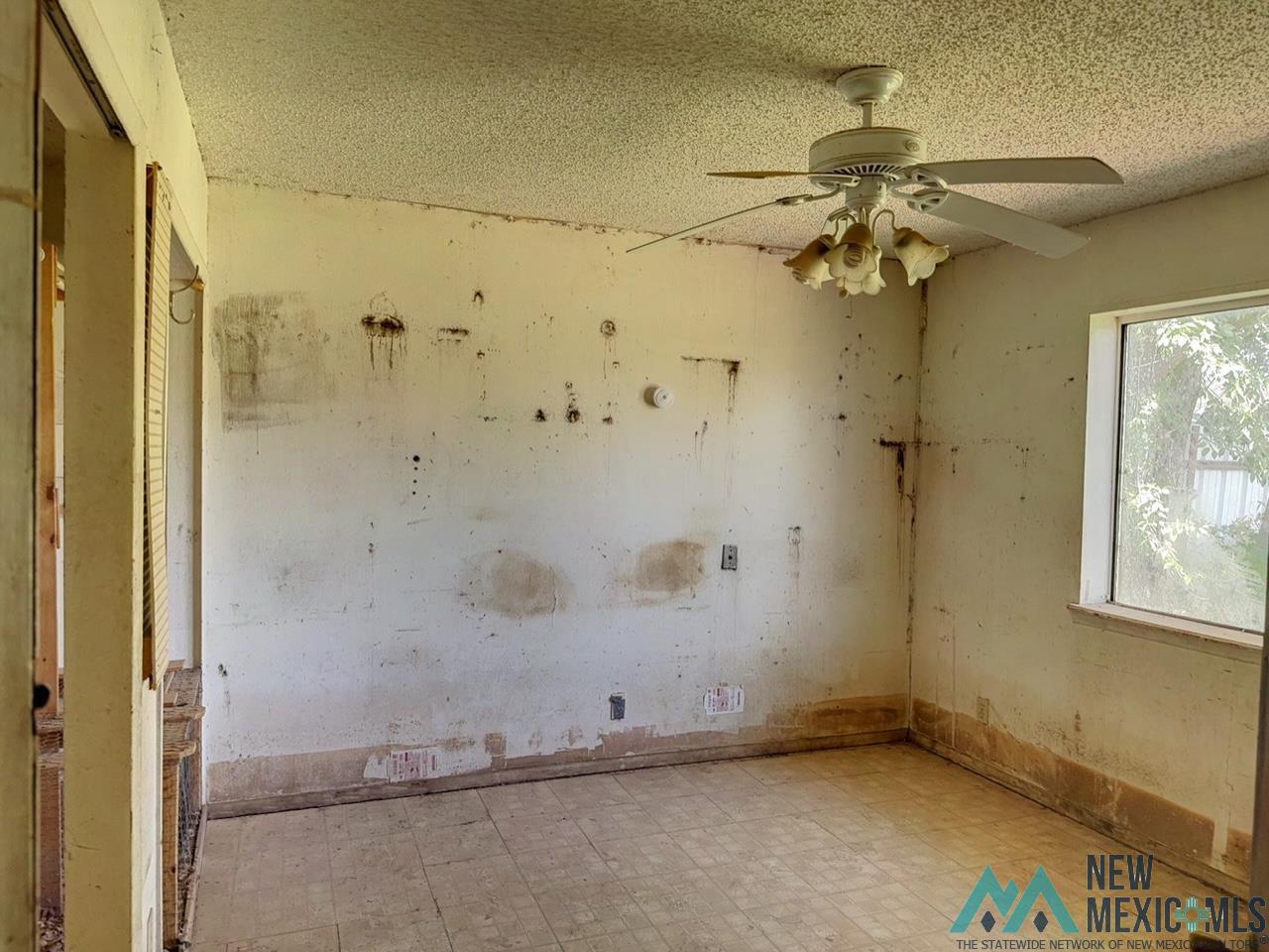 309 W 5th Street, Dexter, Texas image 17