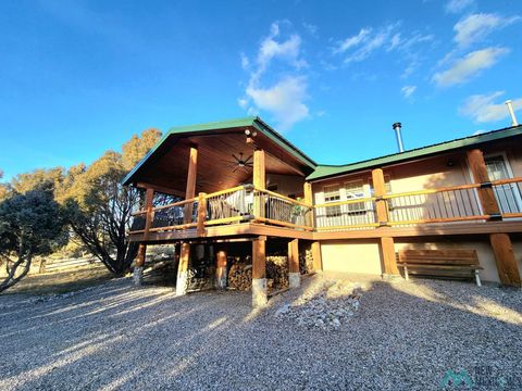 Homes For Sale - 93 Christy Drive<br/> Rio Arriba County, Los Ojos, NM 87575