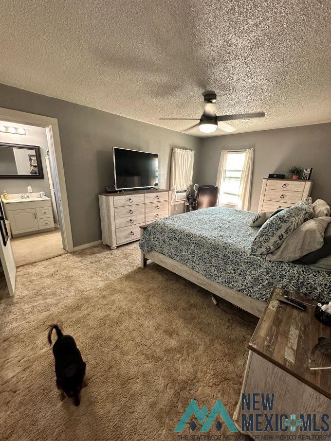 569 N 9th Street, Fort Sumner, Texas image 5