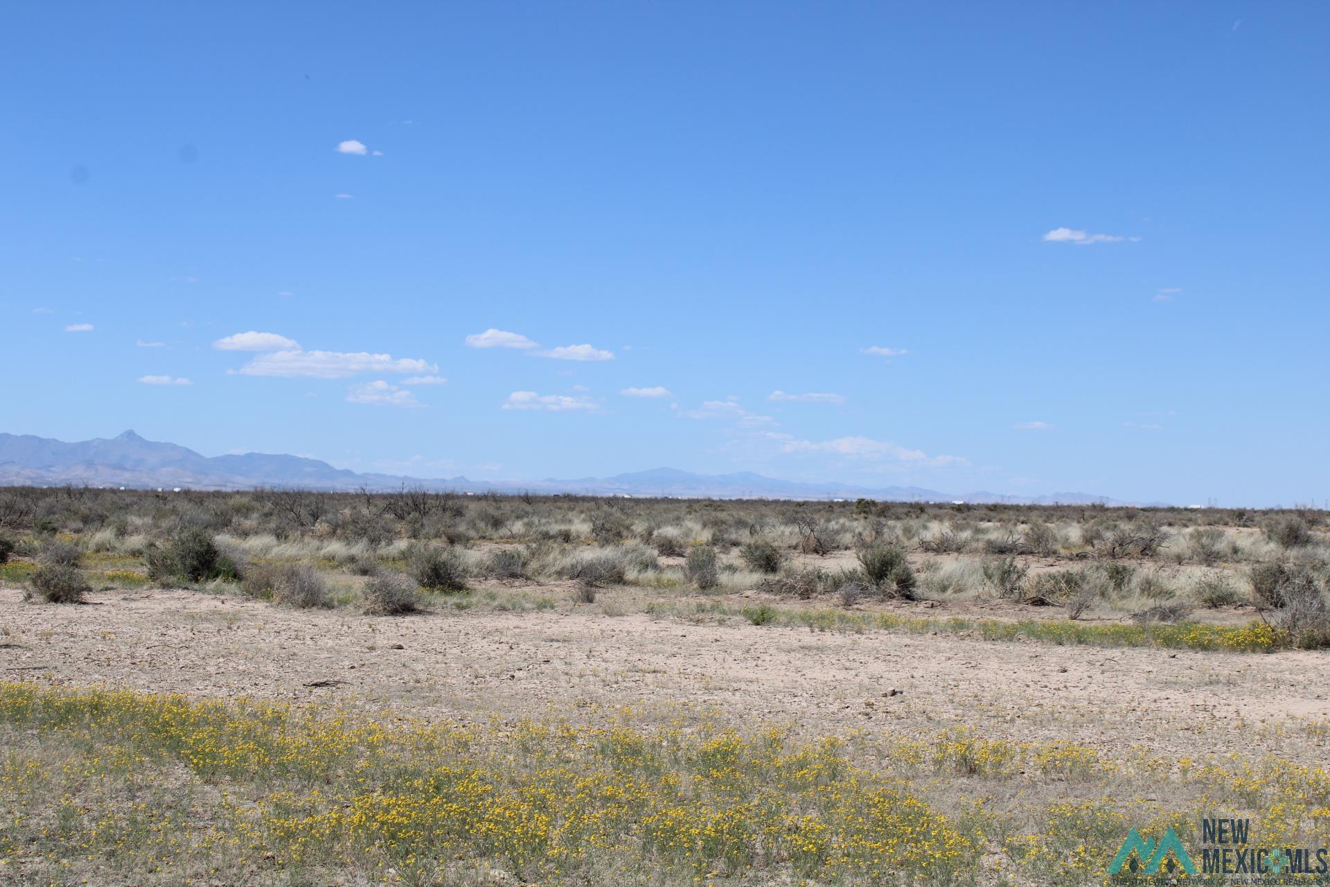 Piedras Rd Se, Deming, New Mexico image 1