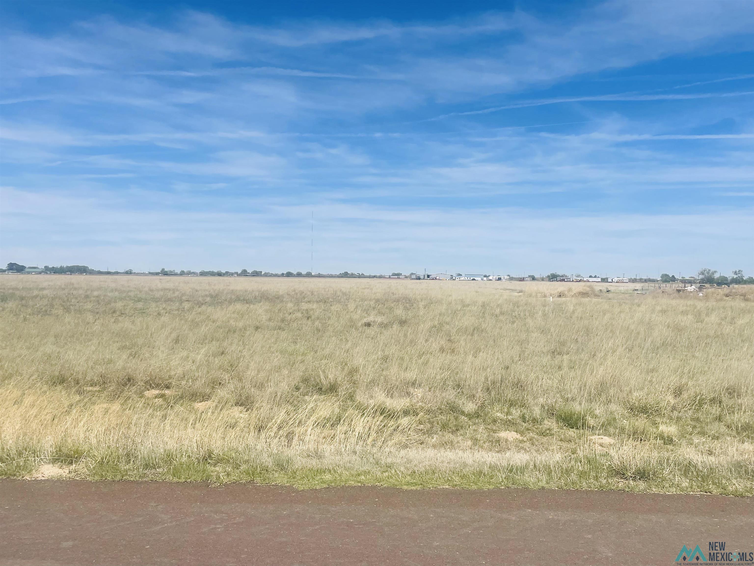 TBD S Rr 6, Portales, Texas image 1