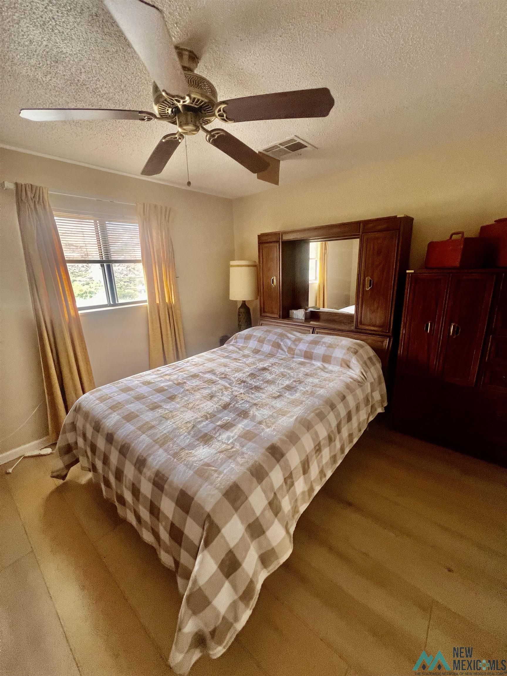 415 Caballo Road, Truth Or Consequences, New Mexico image 12