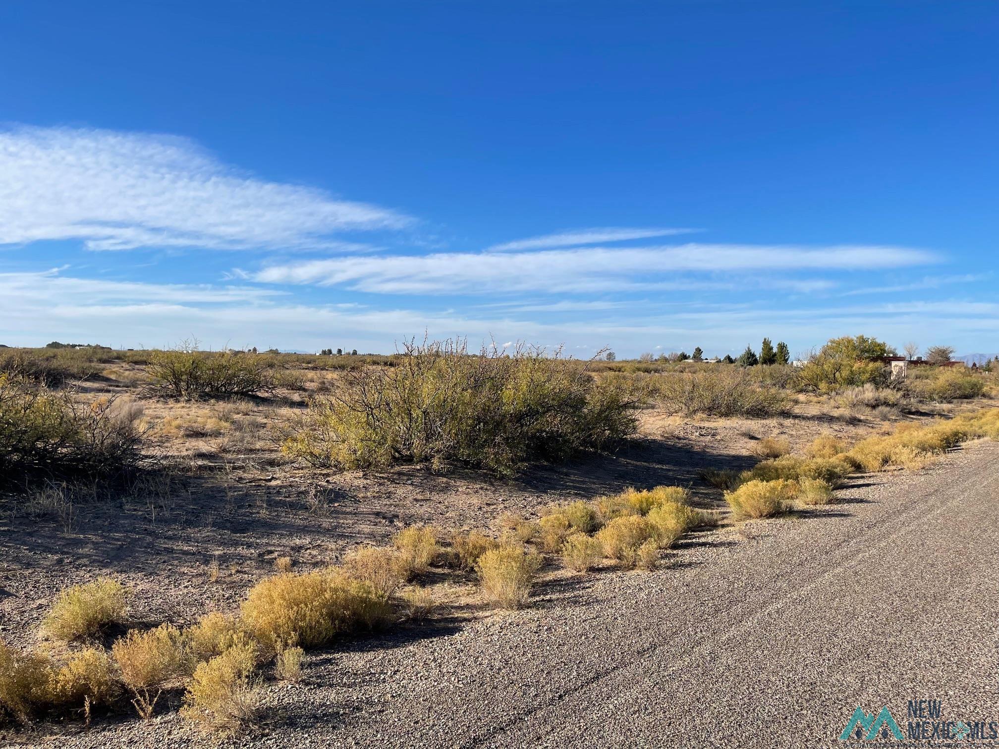 XXXX Maverick Rd Se, Deming, New Mexico image 7