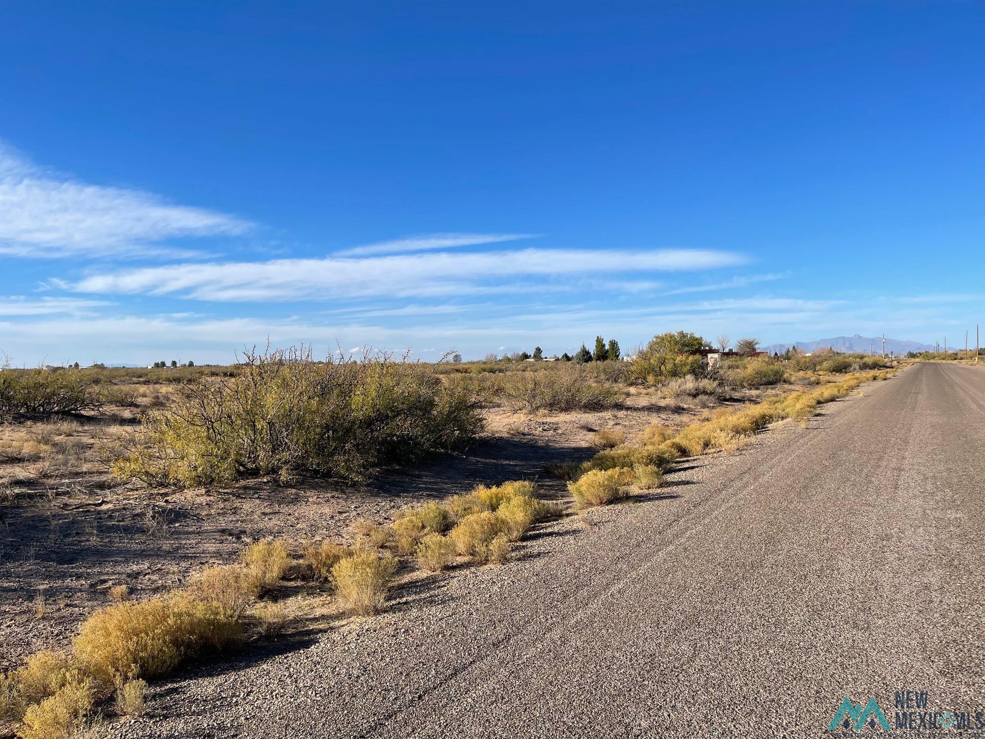 XXXX Maverick Rd Se, Deming, New Mexico image 4