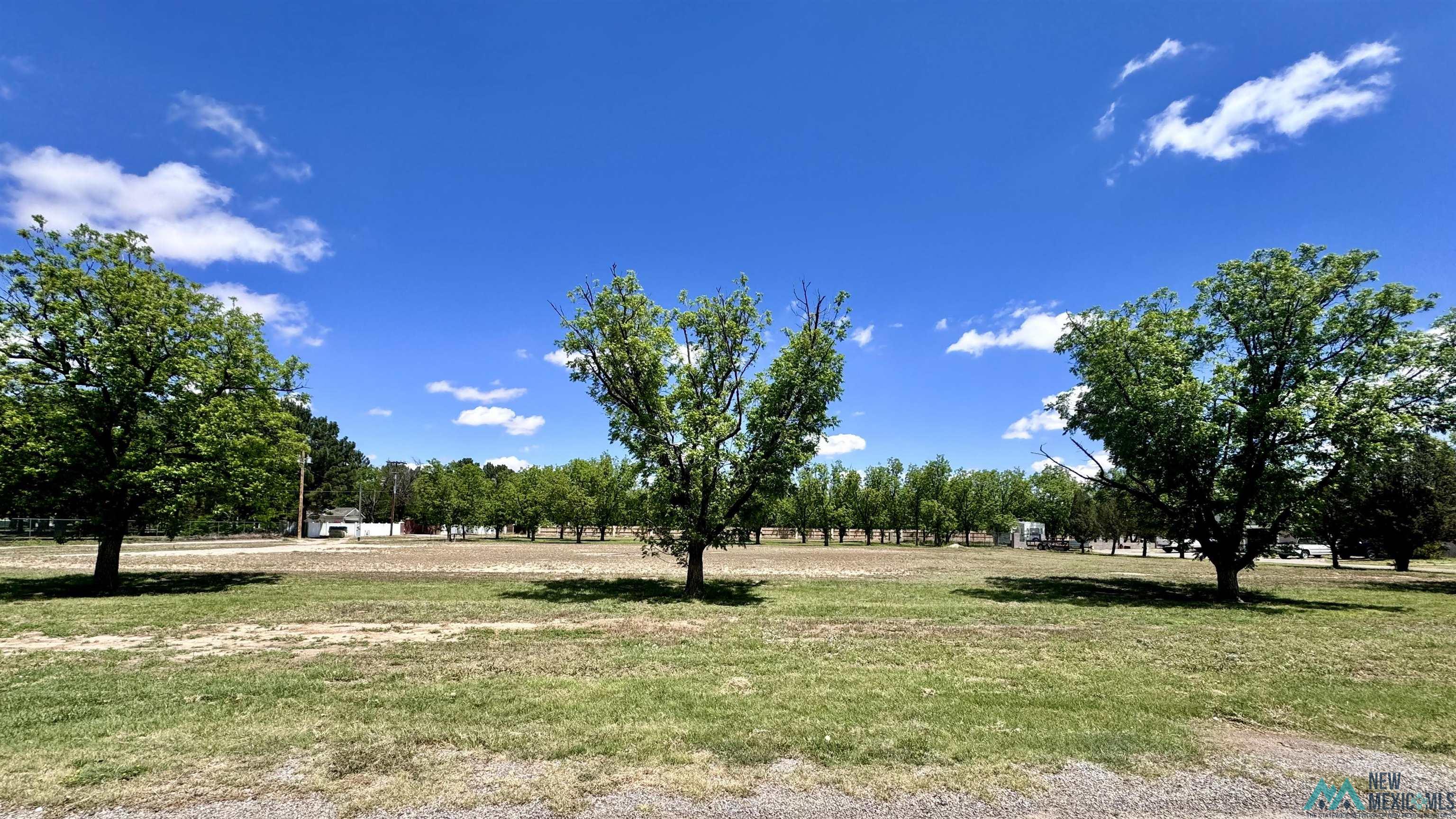 0000 Brandon Way, Roswell, Texas image 4