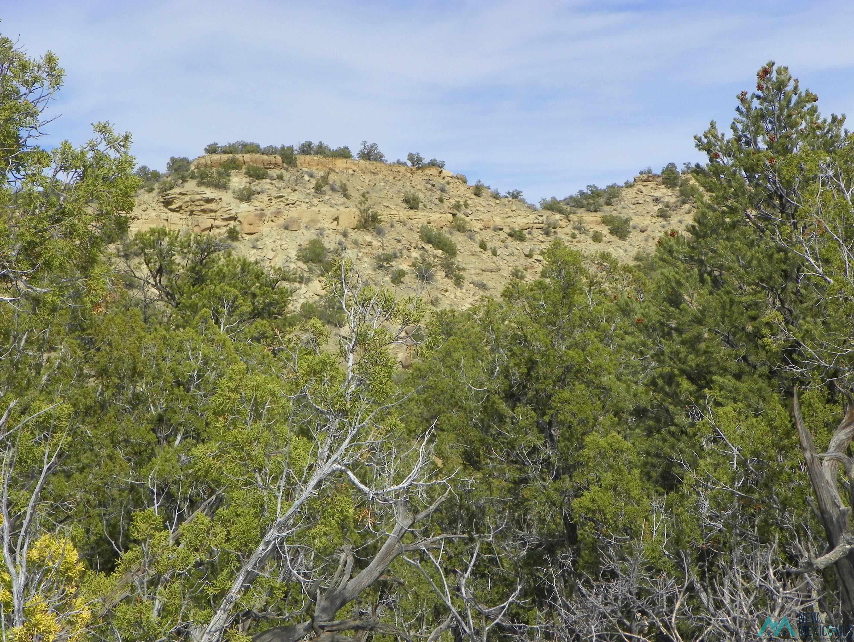 0000 TBD 1 Goat Ranch Road, Pie Town, Texas image 9