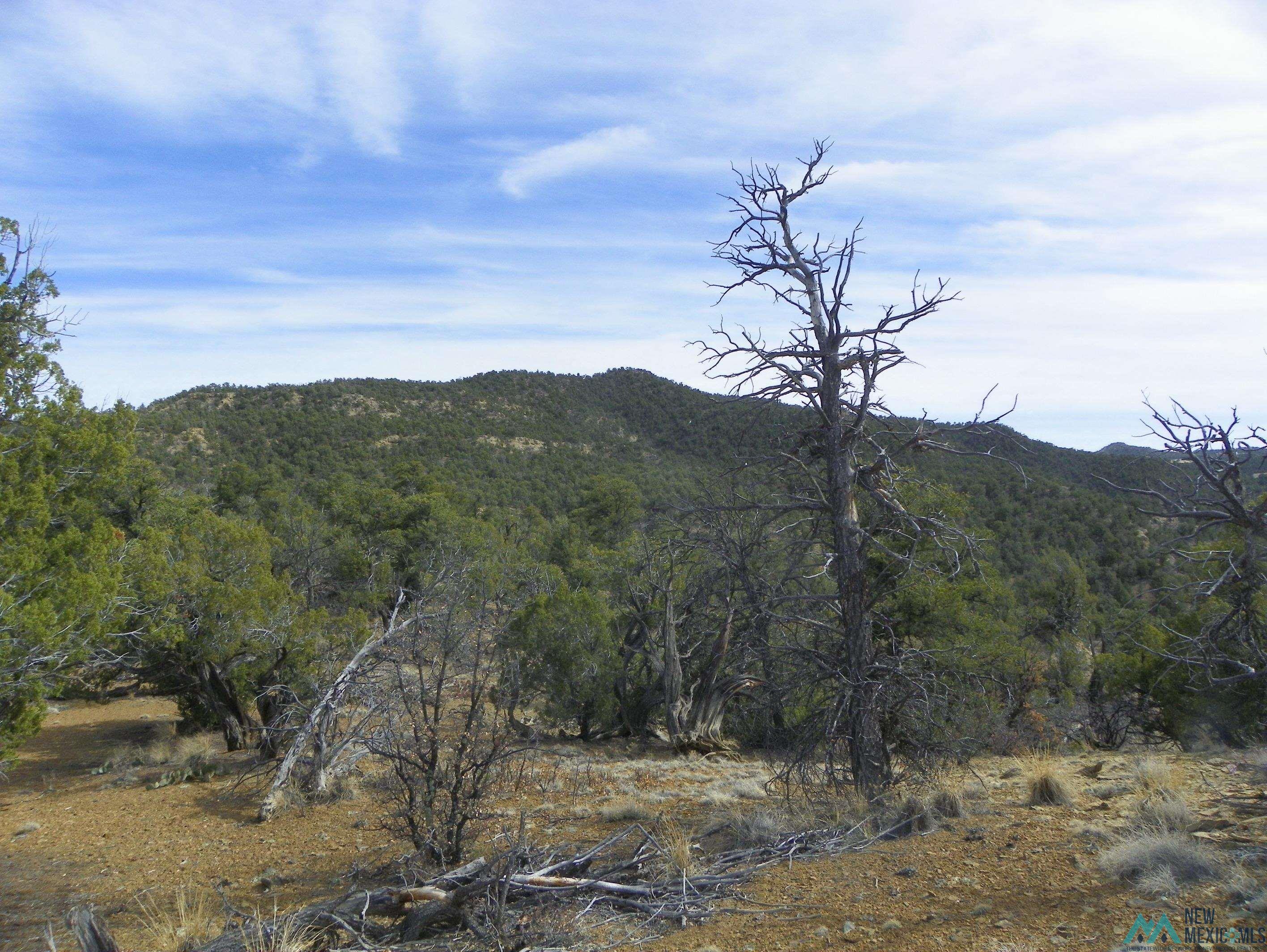 0000 TBD 1 Goat Ranch Road, Pie Town, Texas image 8