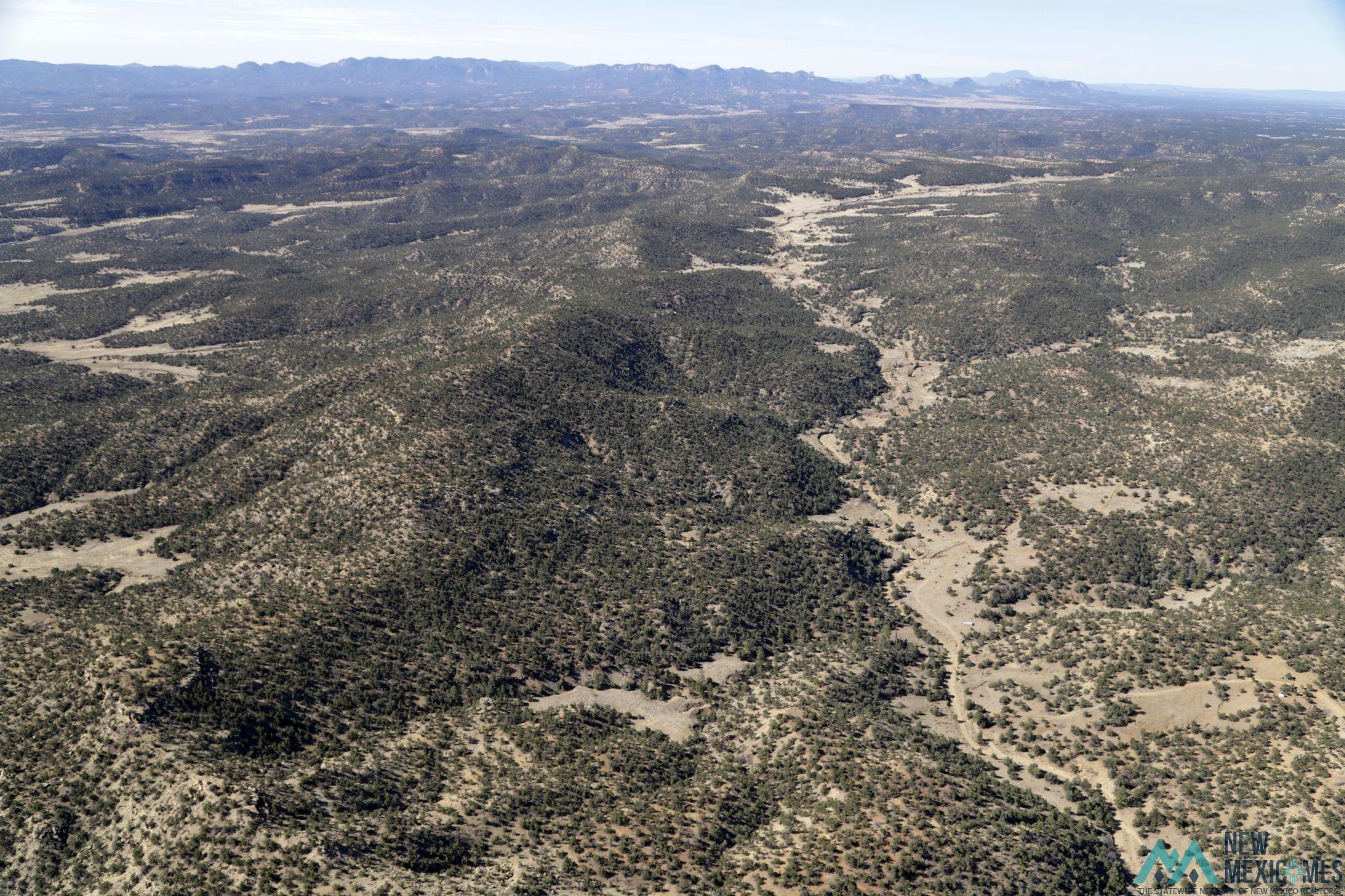 0000 TBD 1 Goat Ranch Road, Pie Town, Texas image 6