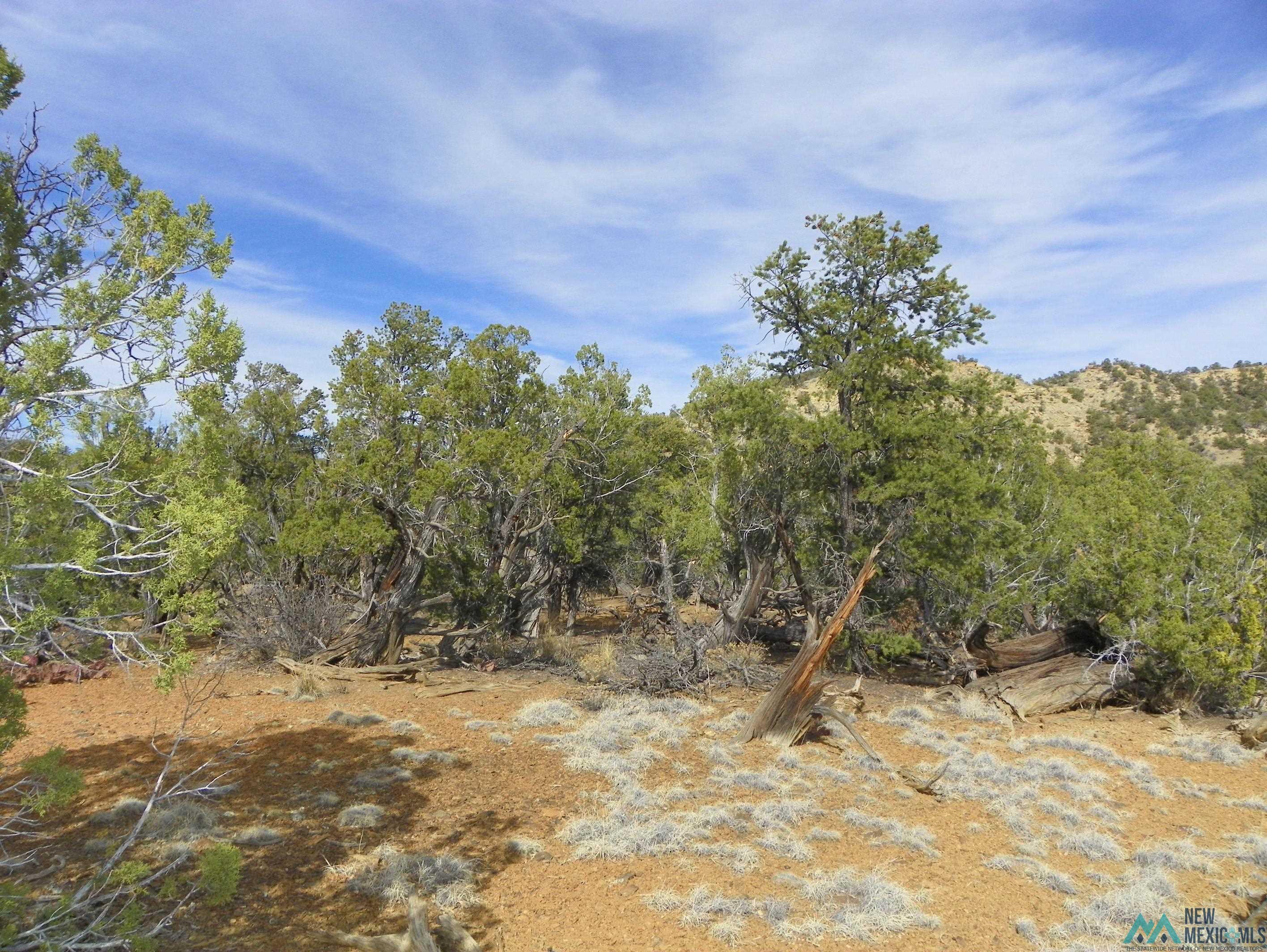 0000 TBD 1 Goat Ranch Road, Pie Town, Texas image 11