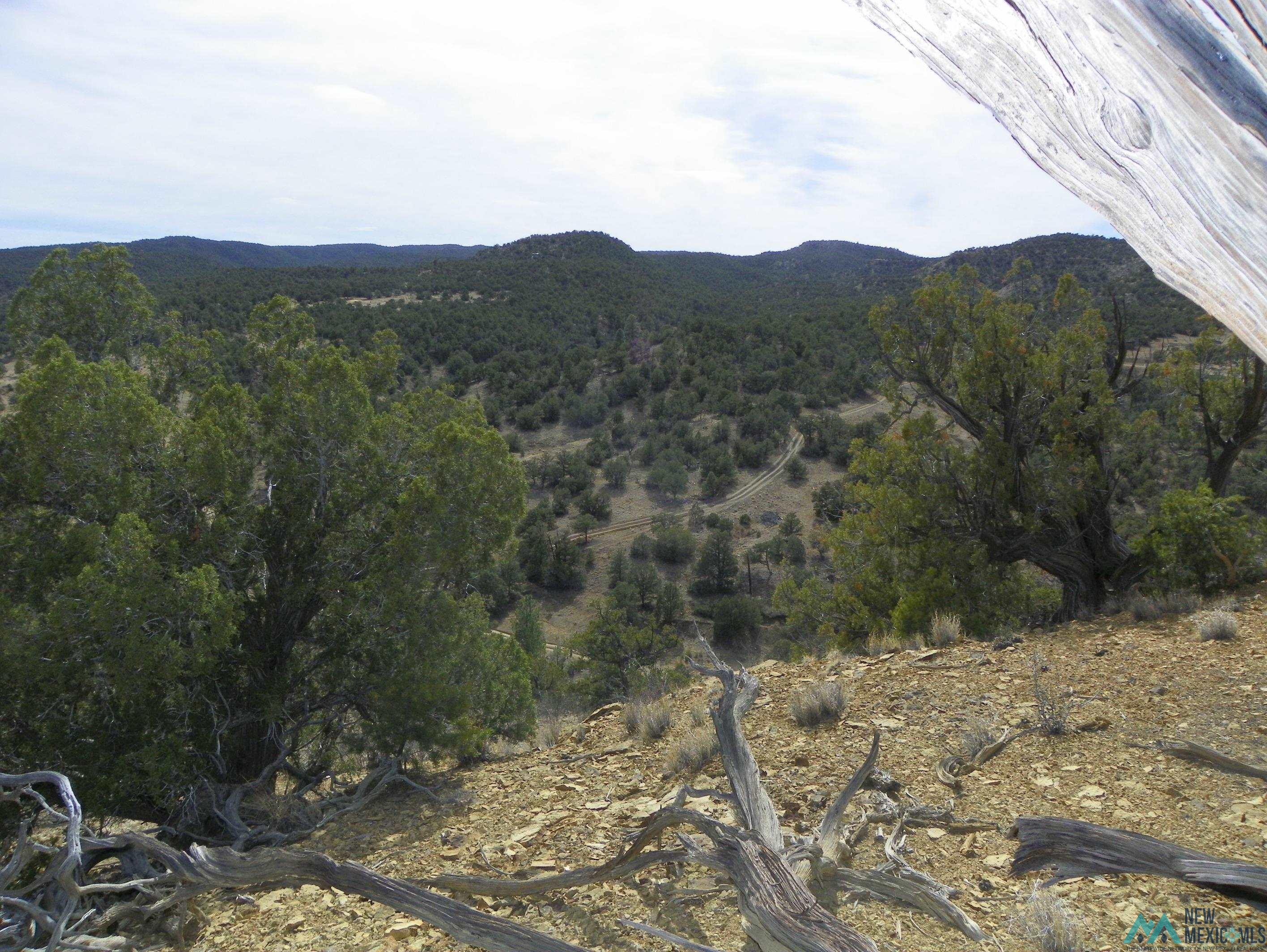 0000 TBD 1 Goat Ranch Road, Pie Town, Texas image 12