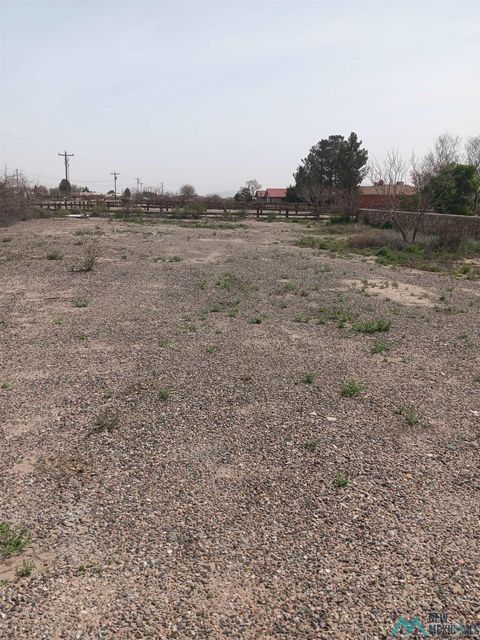 Vacant Land For Sale - 3001 Appalosa Rd Sw Drive<br/> Deming, NM 88030