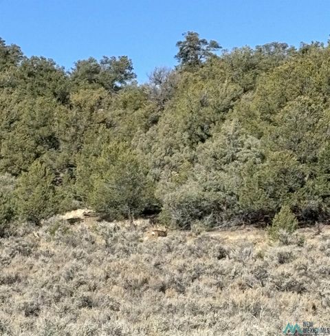 Vacant Land For Sale - TBD Unit 4, Lot 40 Talavera Ln<br/> Tierra Amarilla, NM 87575
