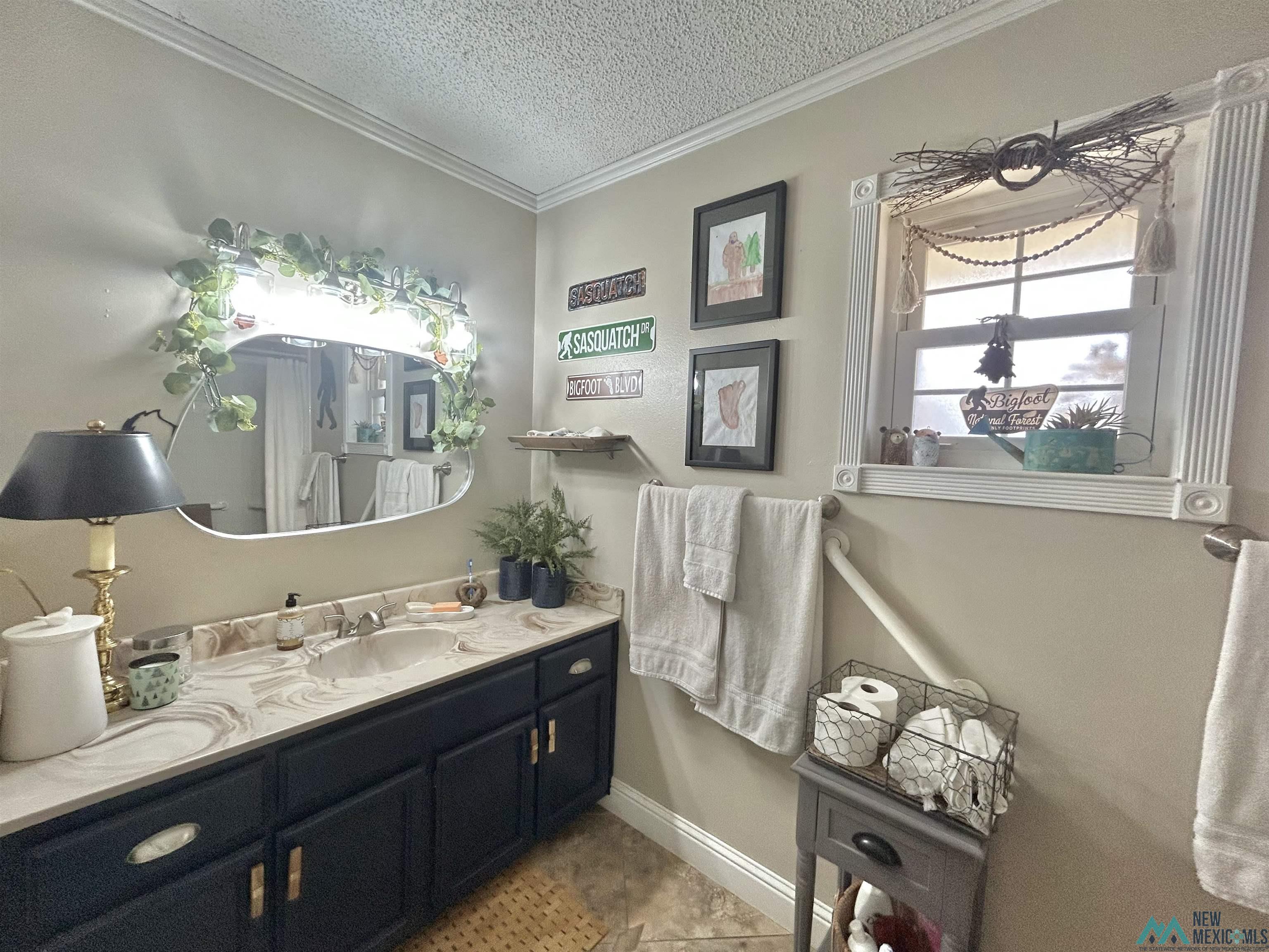 3306 N Belmont Place, Hobbs, New Mexico image 19