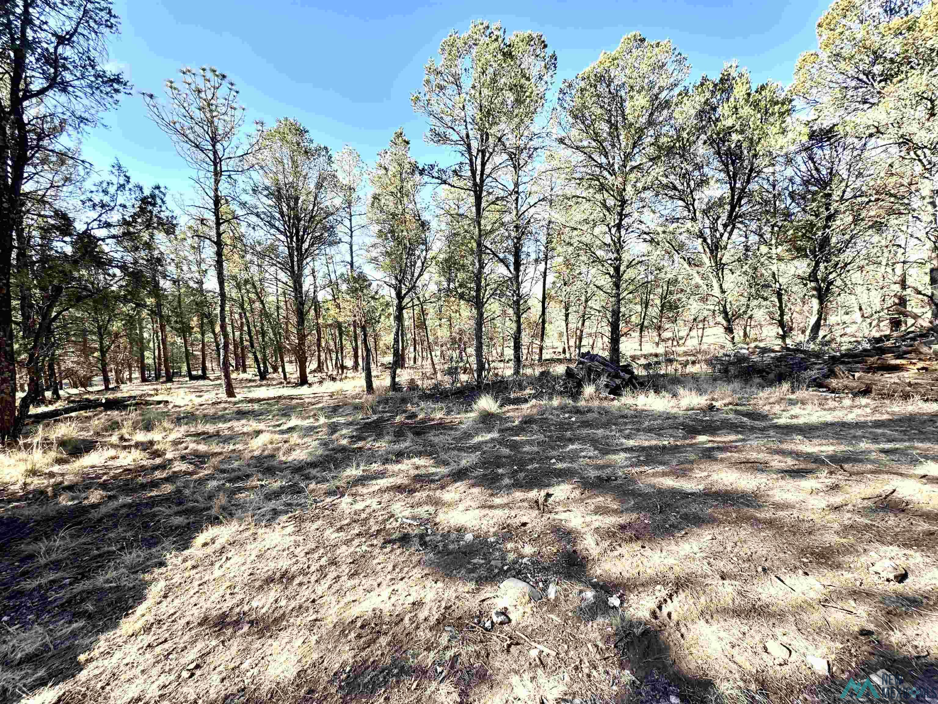 32 Cabin Lane, Timberon, New Mexico image 31