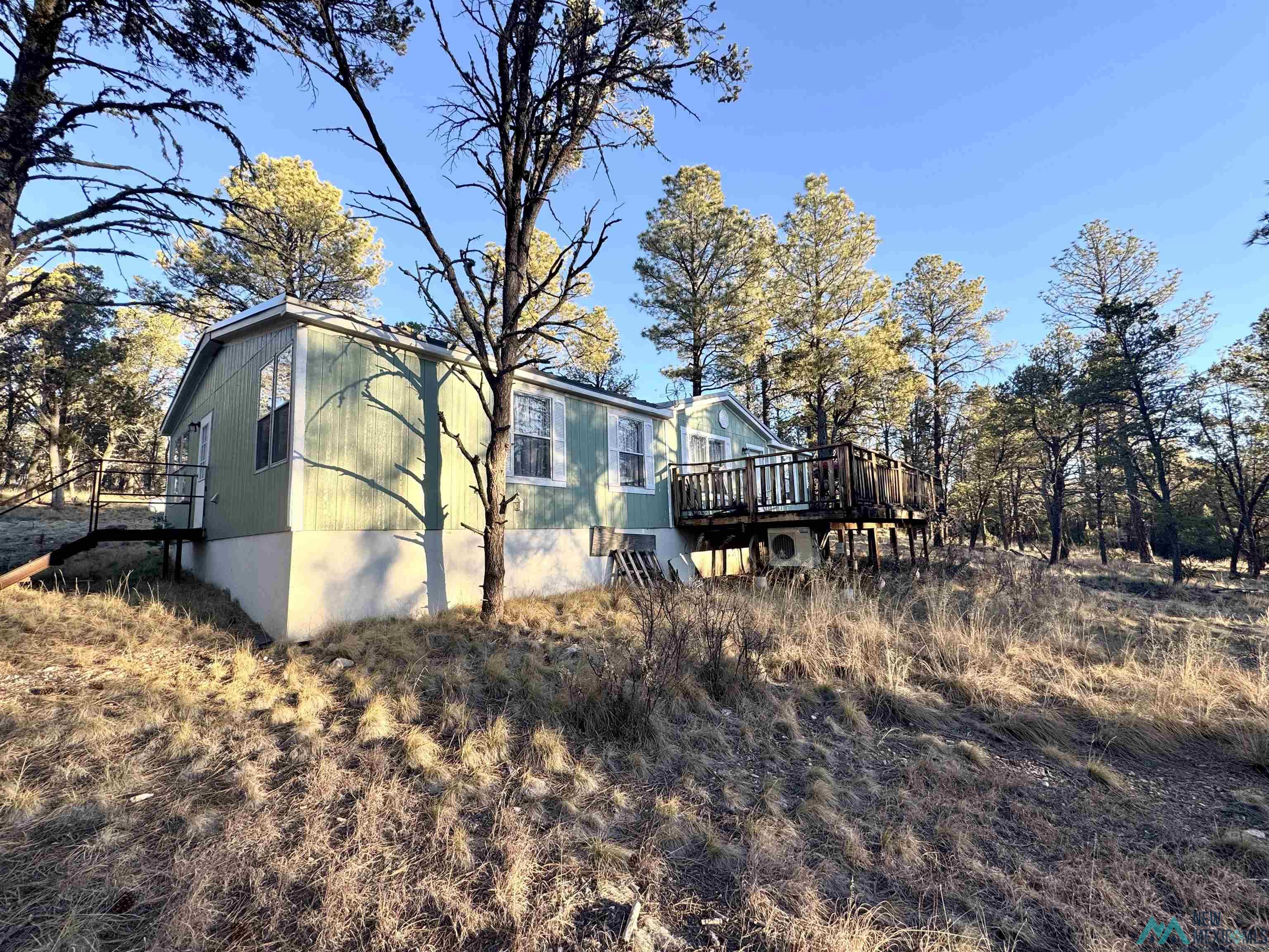 32 Cabin Lane, Timberon, New Mexico image 3