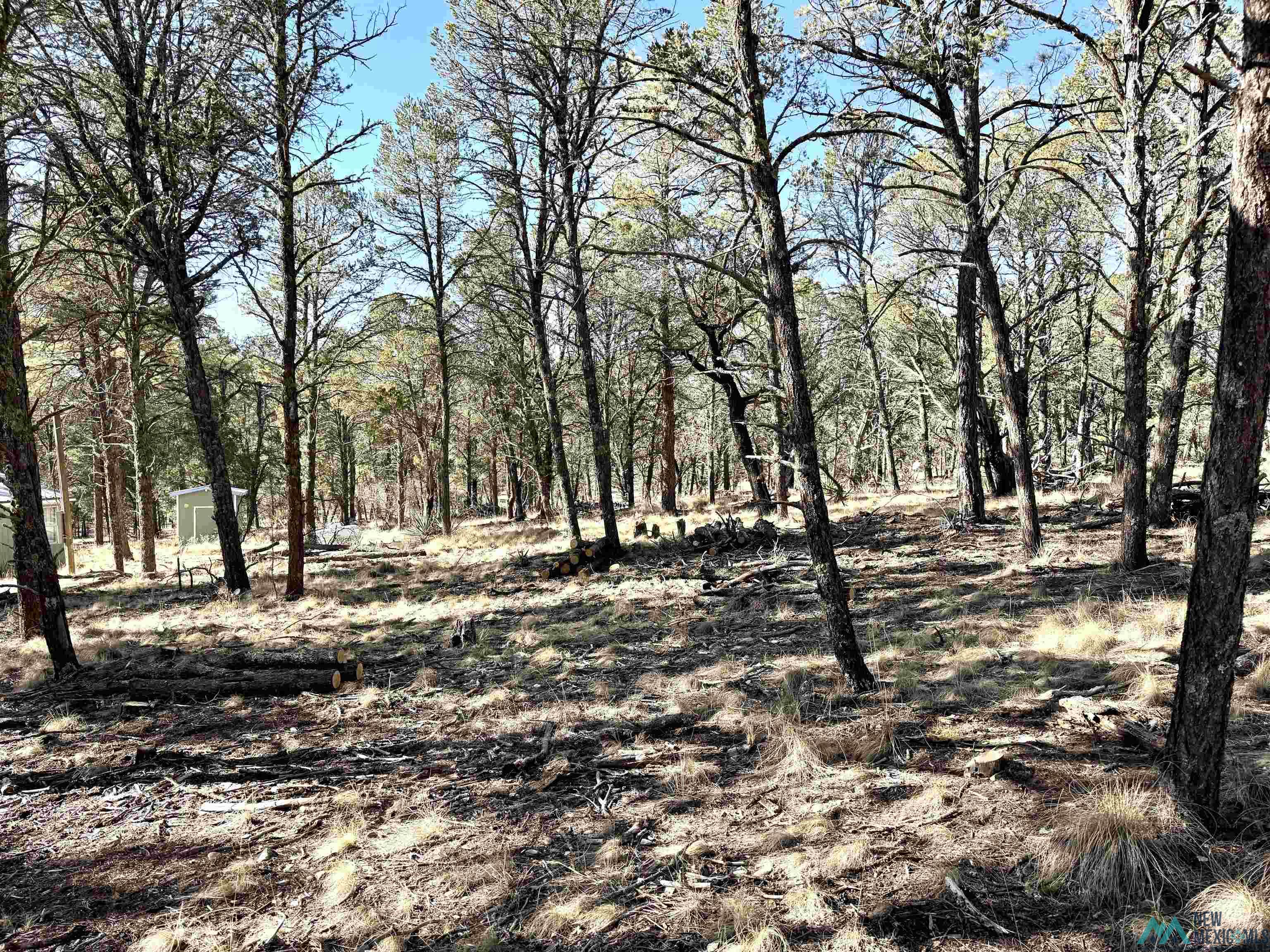 32 Cabin Lane, Timberon, New Mexico image 30