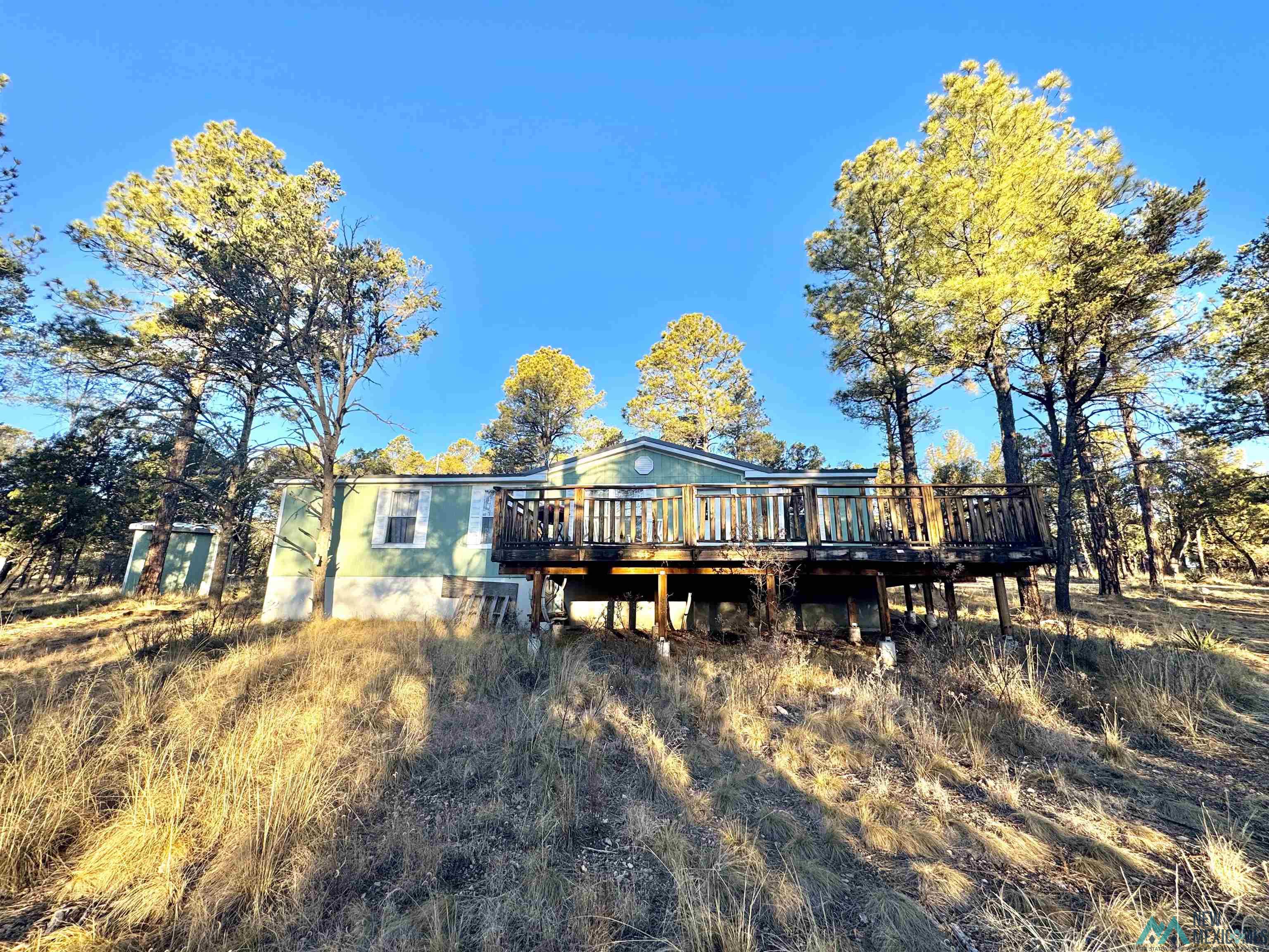 32 Cabin Lane, Timberon, New Mexico image 2