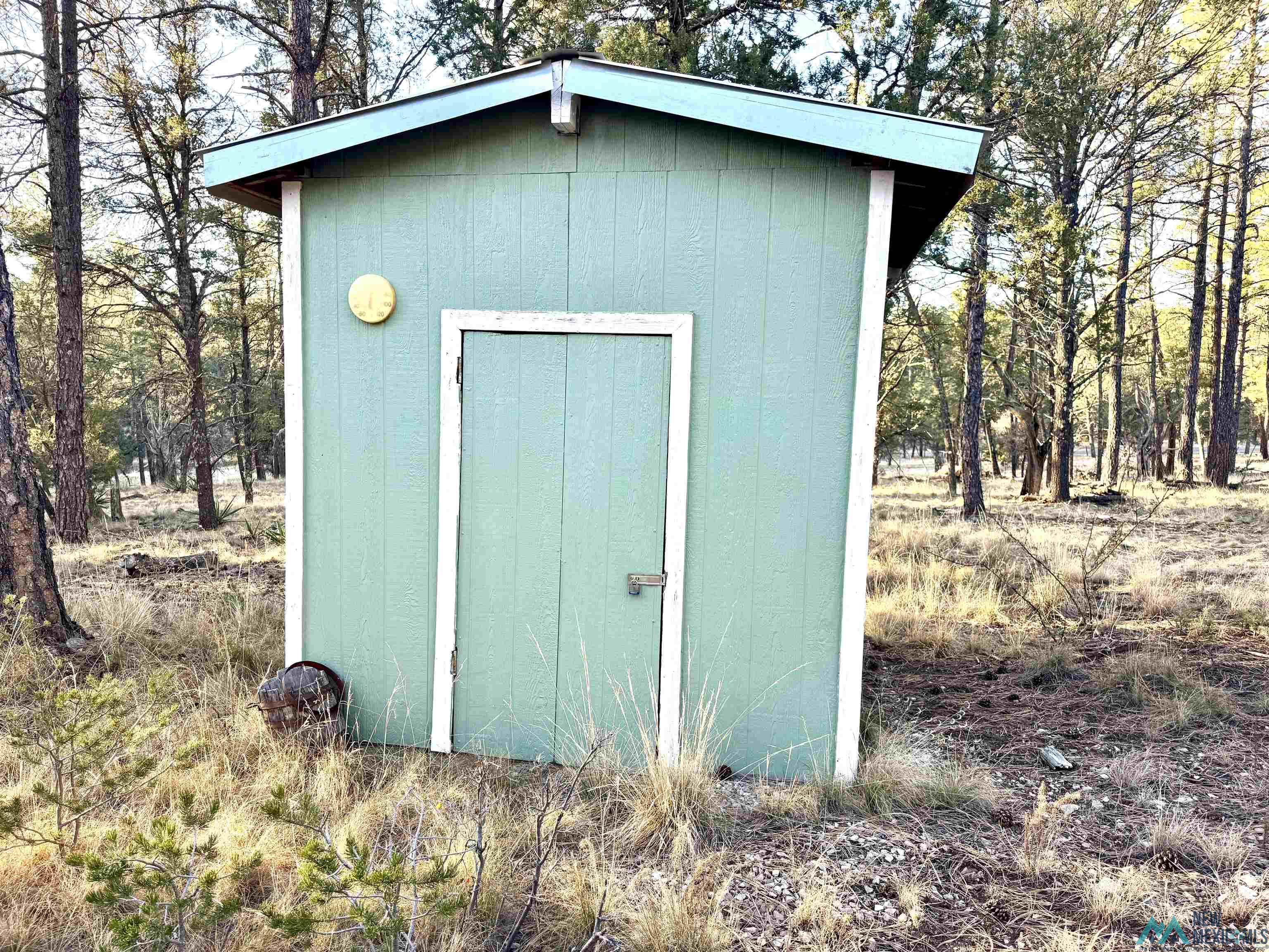 32 Cabin Lane, Timberon, New Mexico image 7