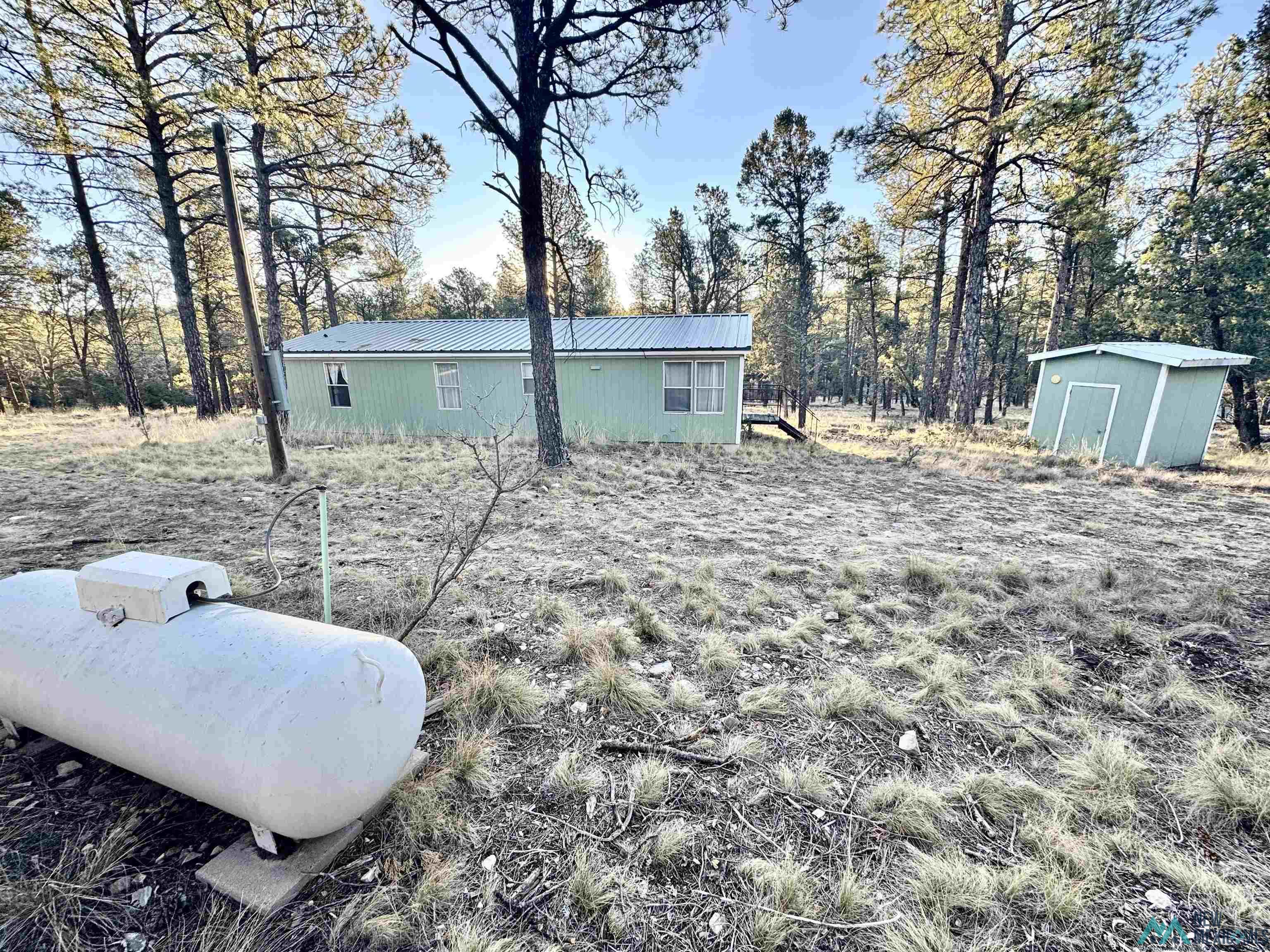 32 Cabin Lane, Timberon, New Mexico image 4