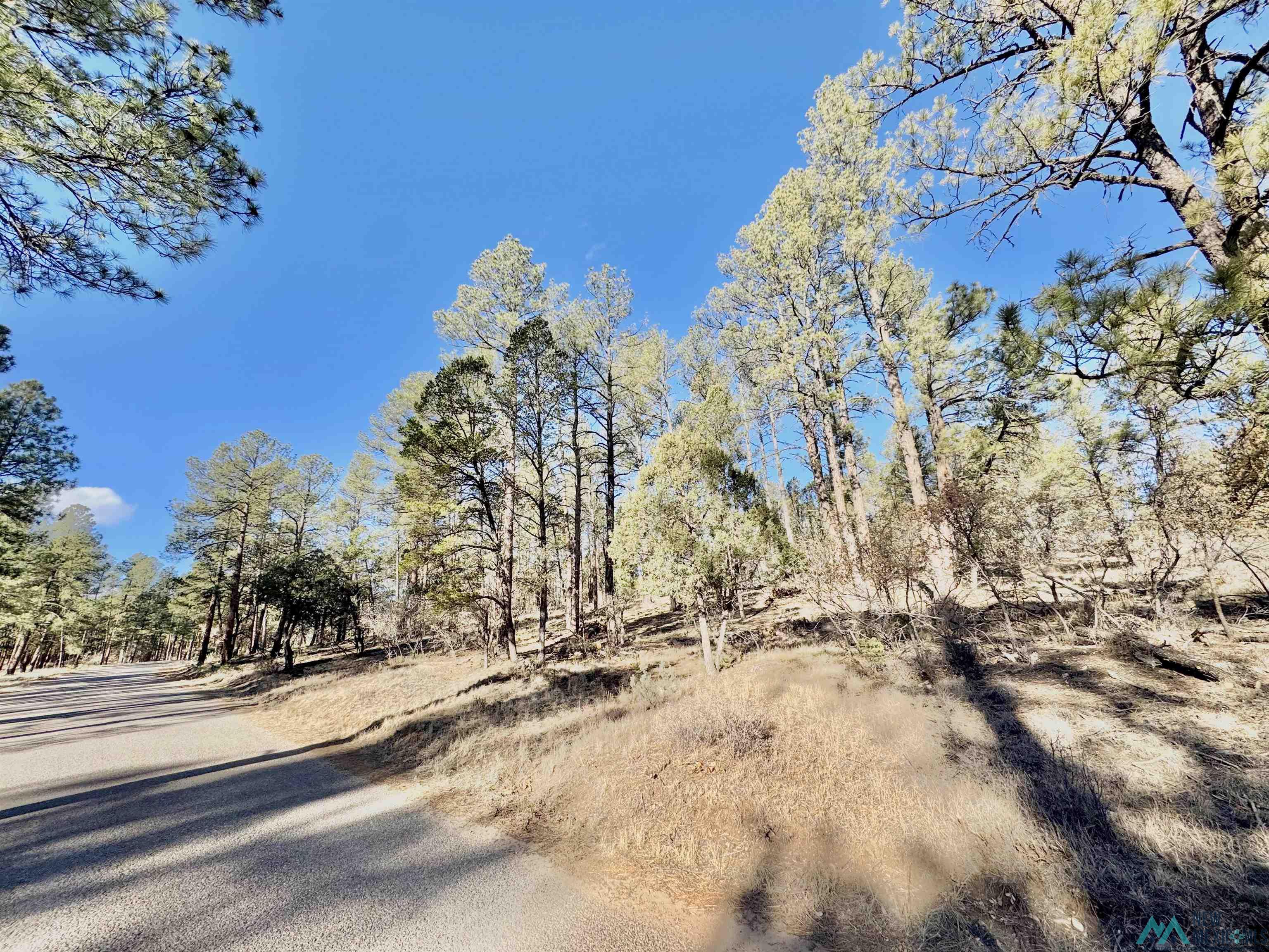 32 Cabin Lane, Timberon, New Mexico image 28