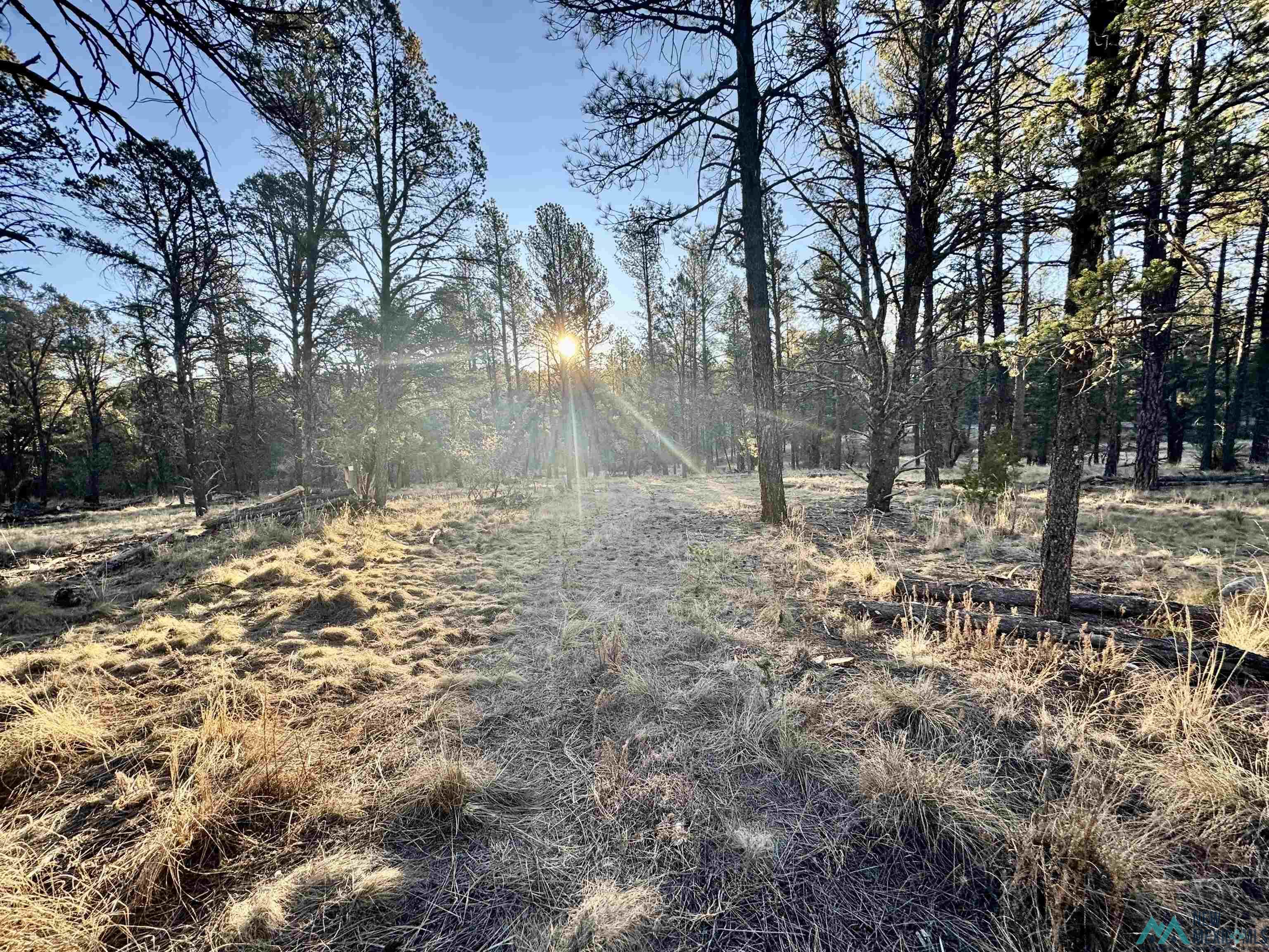 32 Cabin Lane, Timberon, New Mexico image 29