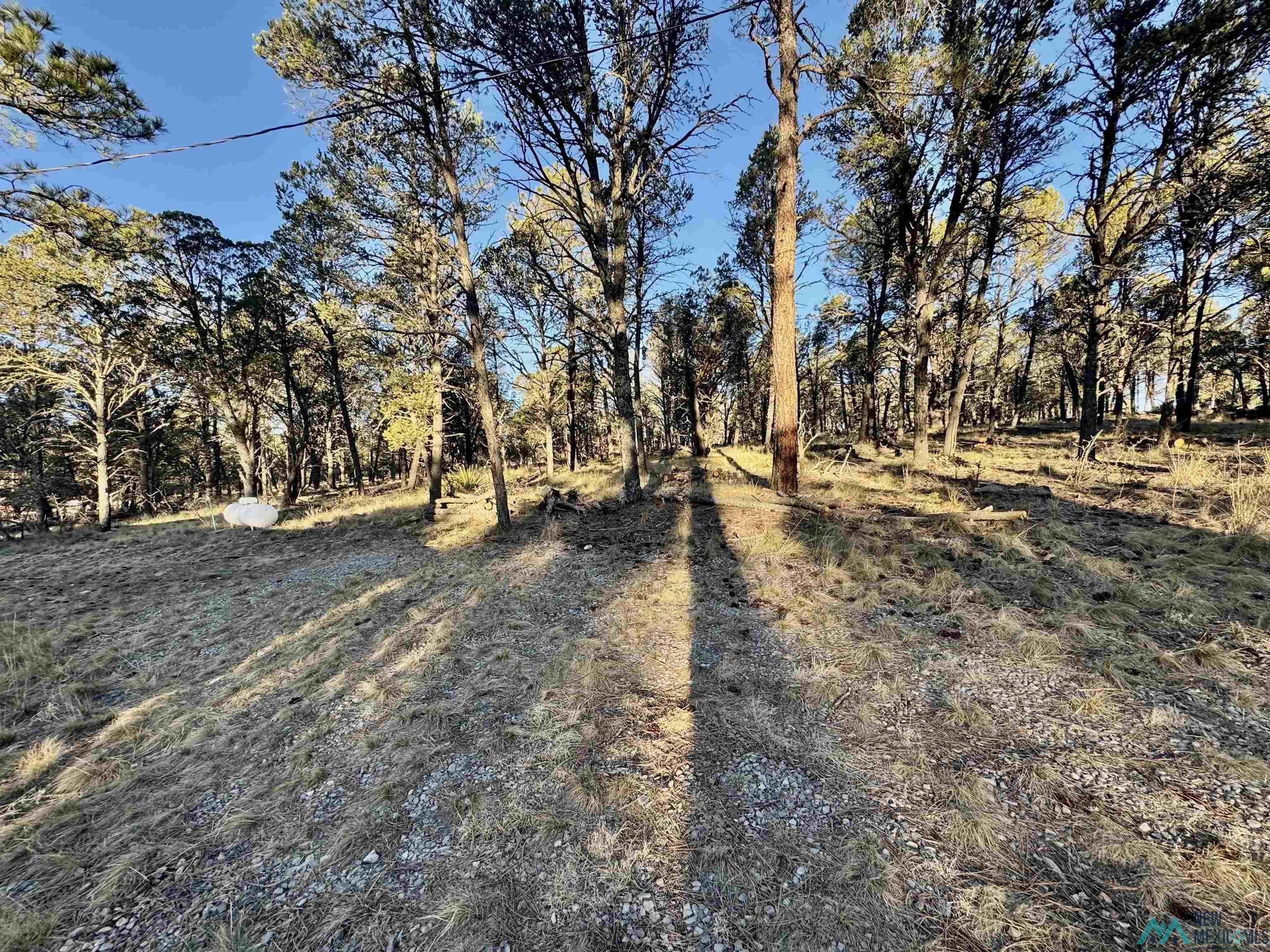 32 Cabin Lane, Timberon, New Mexico image 27