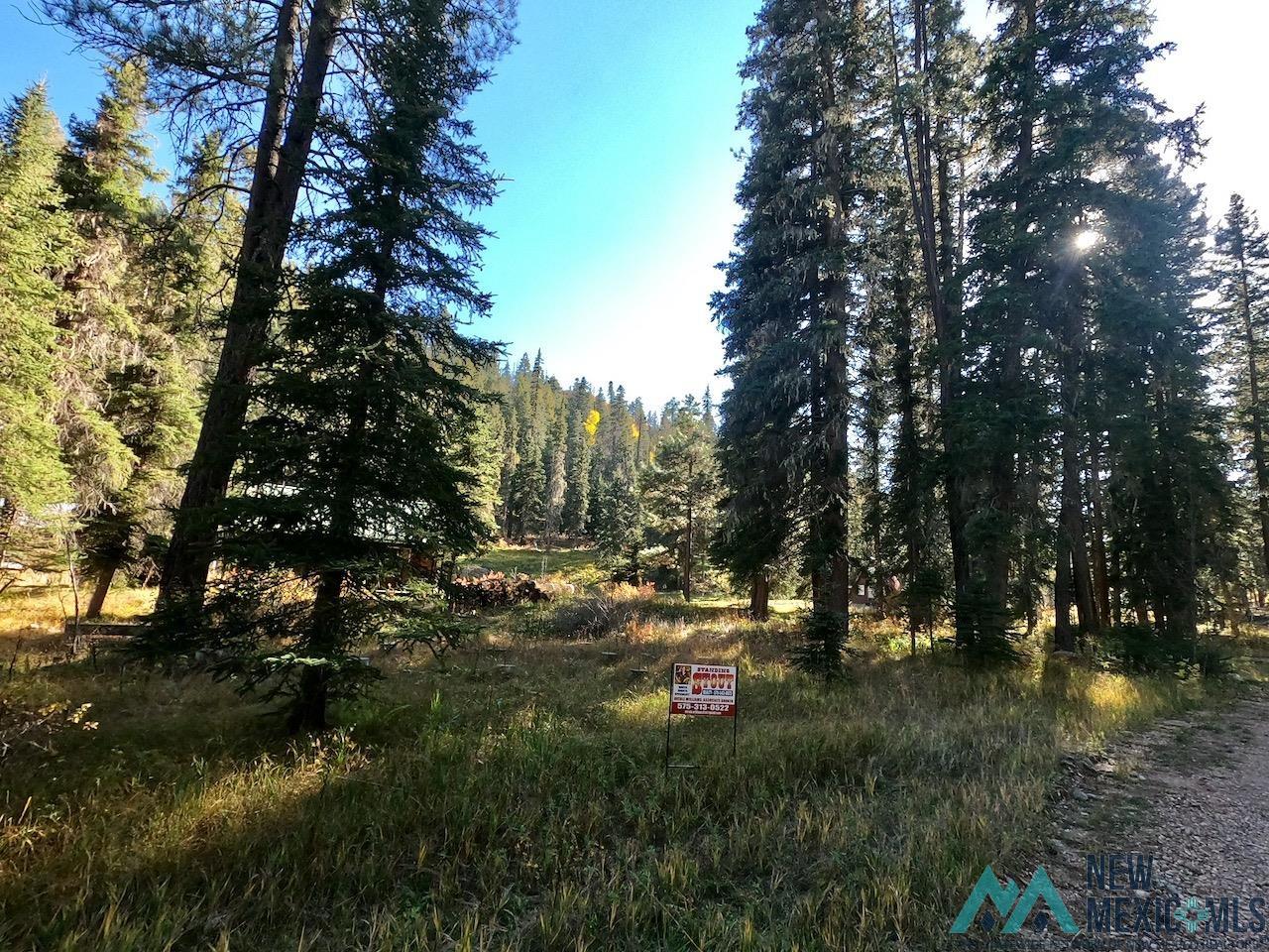 Lot SW9XN Willow Creek Road, Glenwood, New Mexico image 1