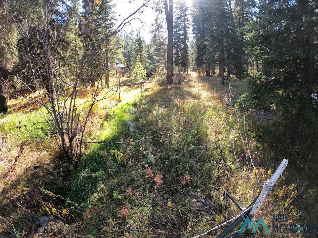 Lot SW9XN Willow Creek Road, Glenwood, New Mexico image 9