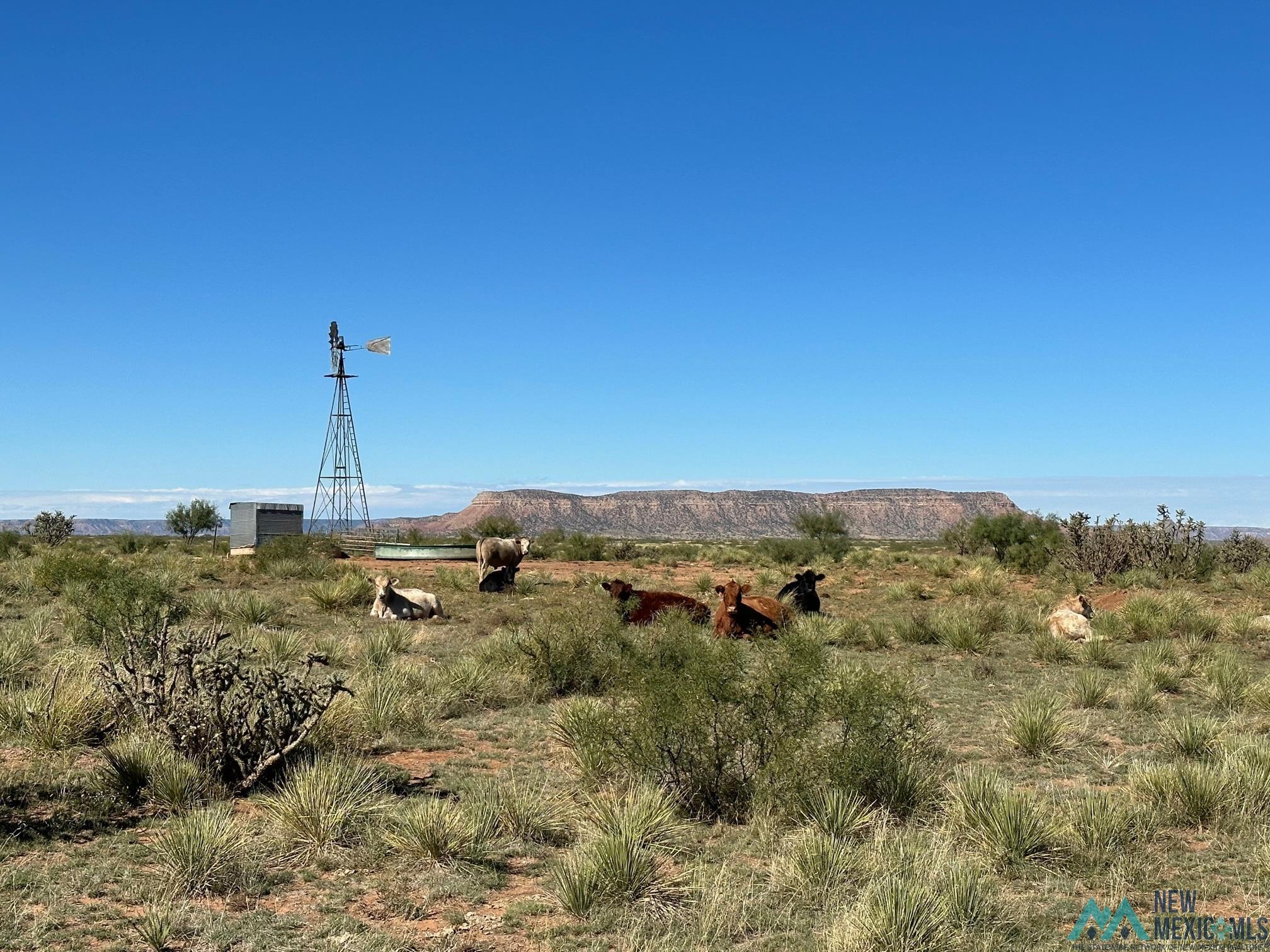 4260 Quay Rd 44 Road, Tucumcari, New Mexico image 11