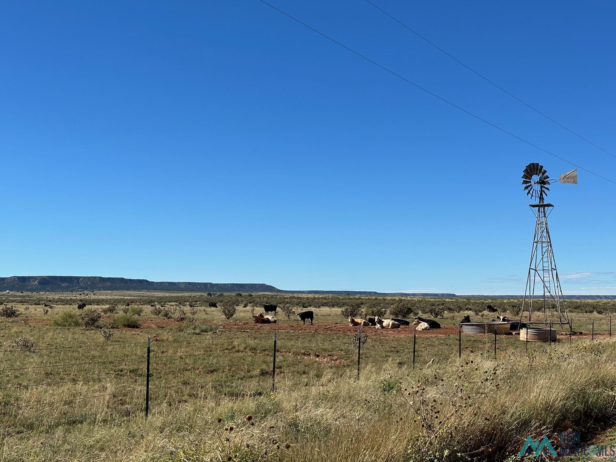 4260 Quay Rd 44 Road, Tucumcari, New Mexico image 12