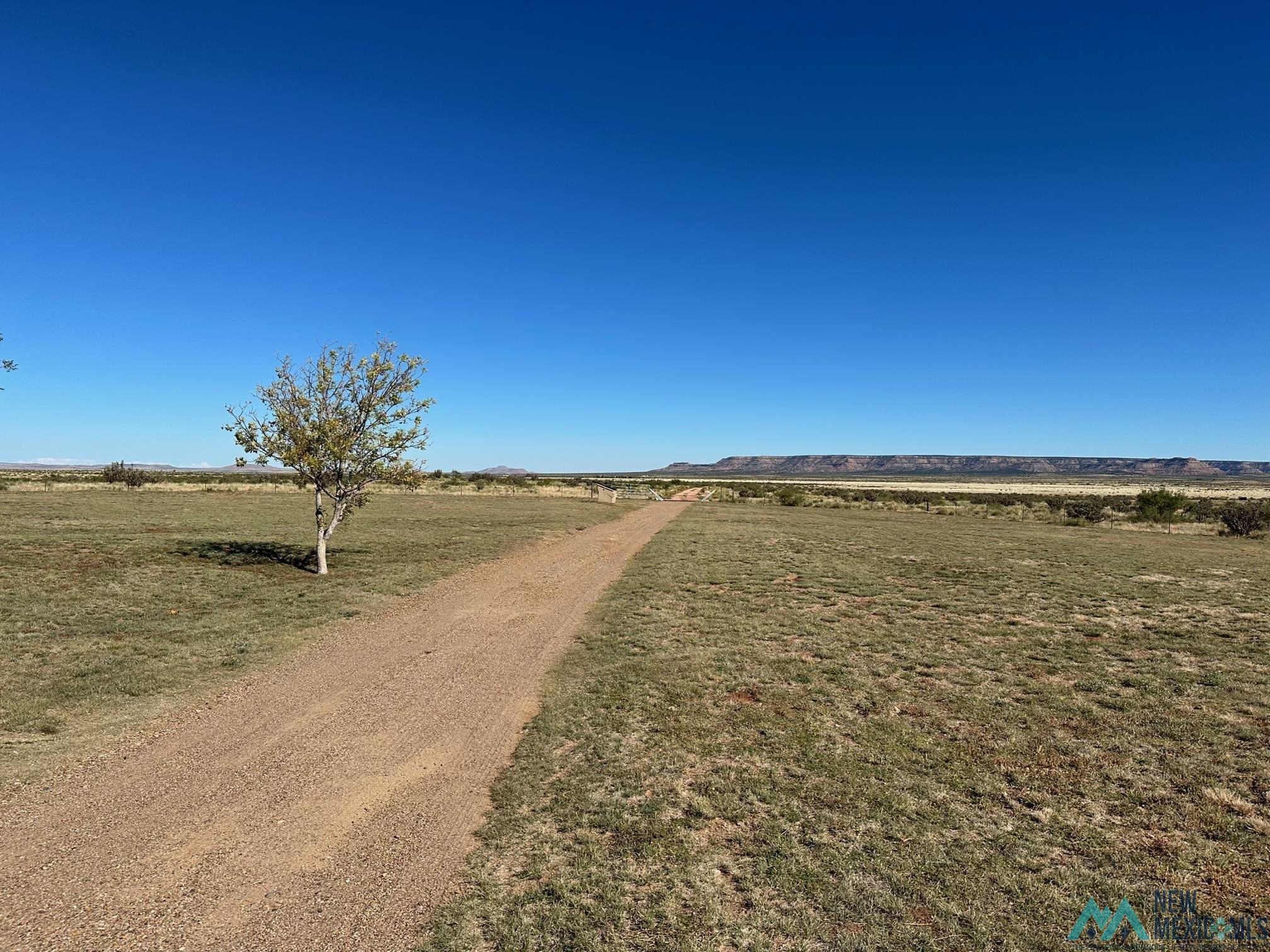 4260 Quay Rd 44 Road, Tucumcari, New Mexico image 3