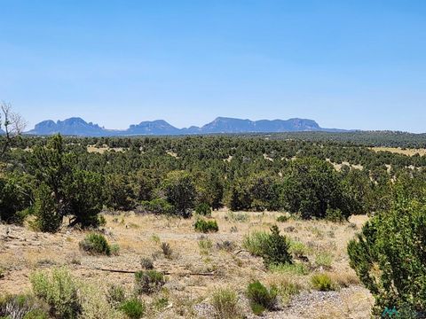 Vacant Land For Sale - 86 Ponderosa Path<br/> Catron County, Pie Town, NM 87827