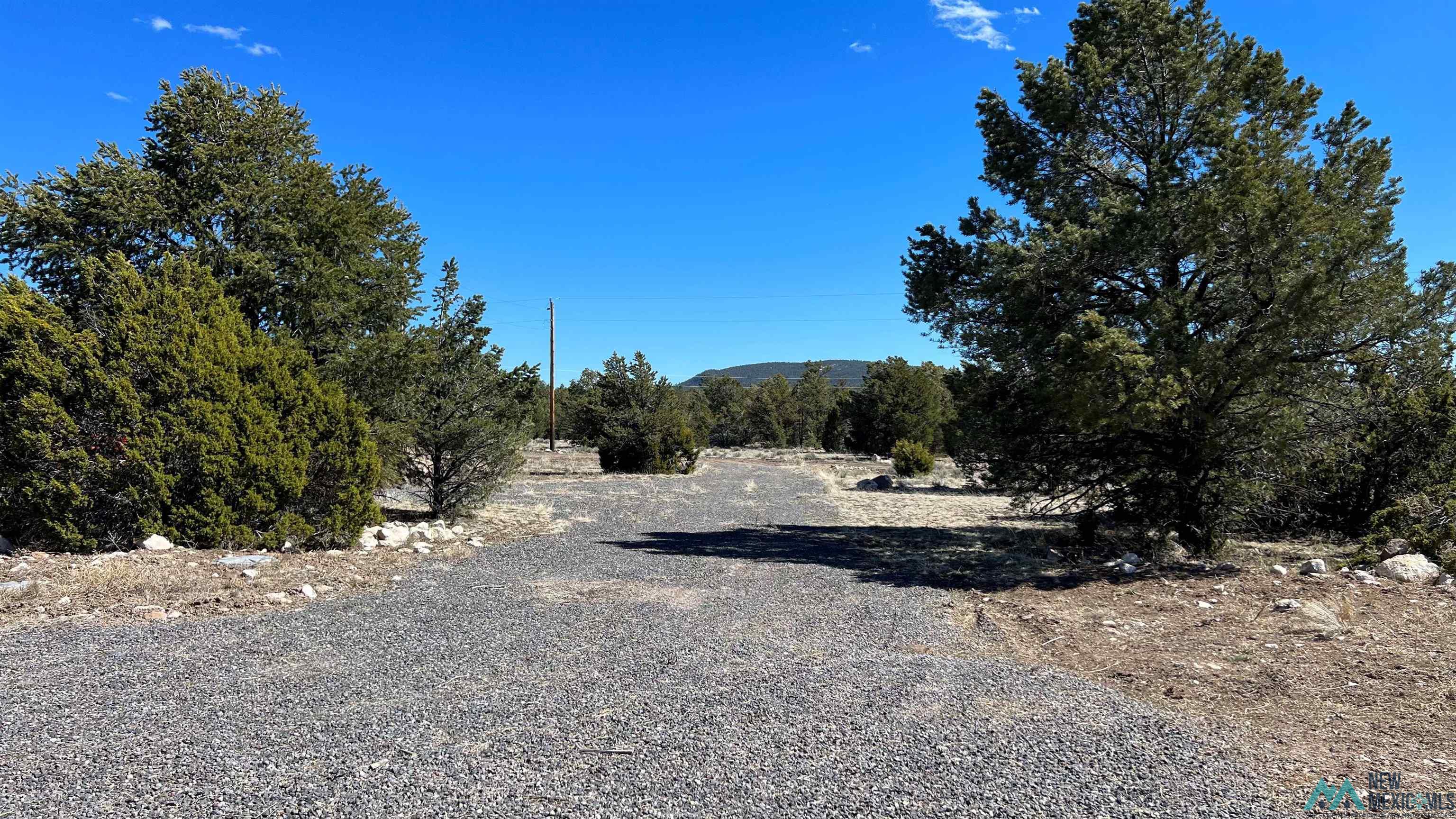 3 Silver Spur, Quemado, New Mexico image 33