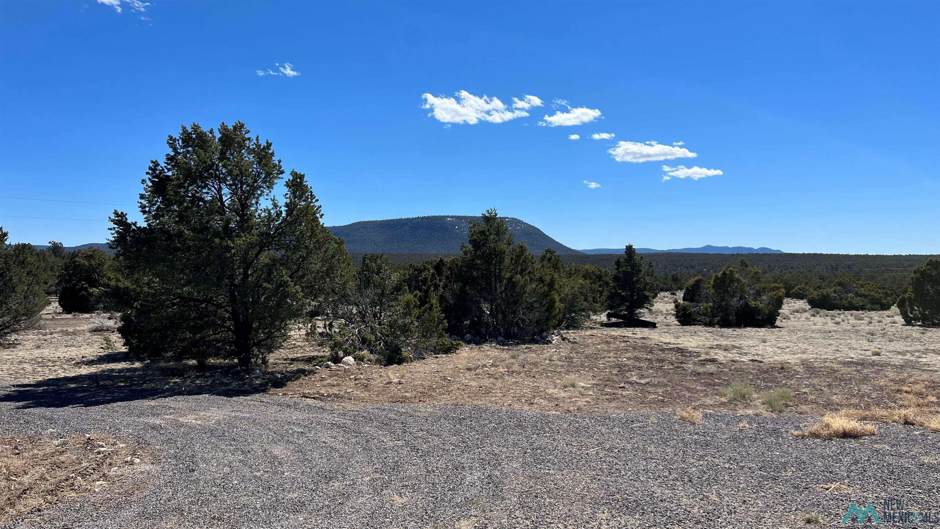 3 Silver Spur, Quemado, New Mexico image 26