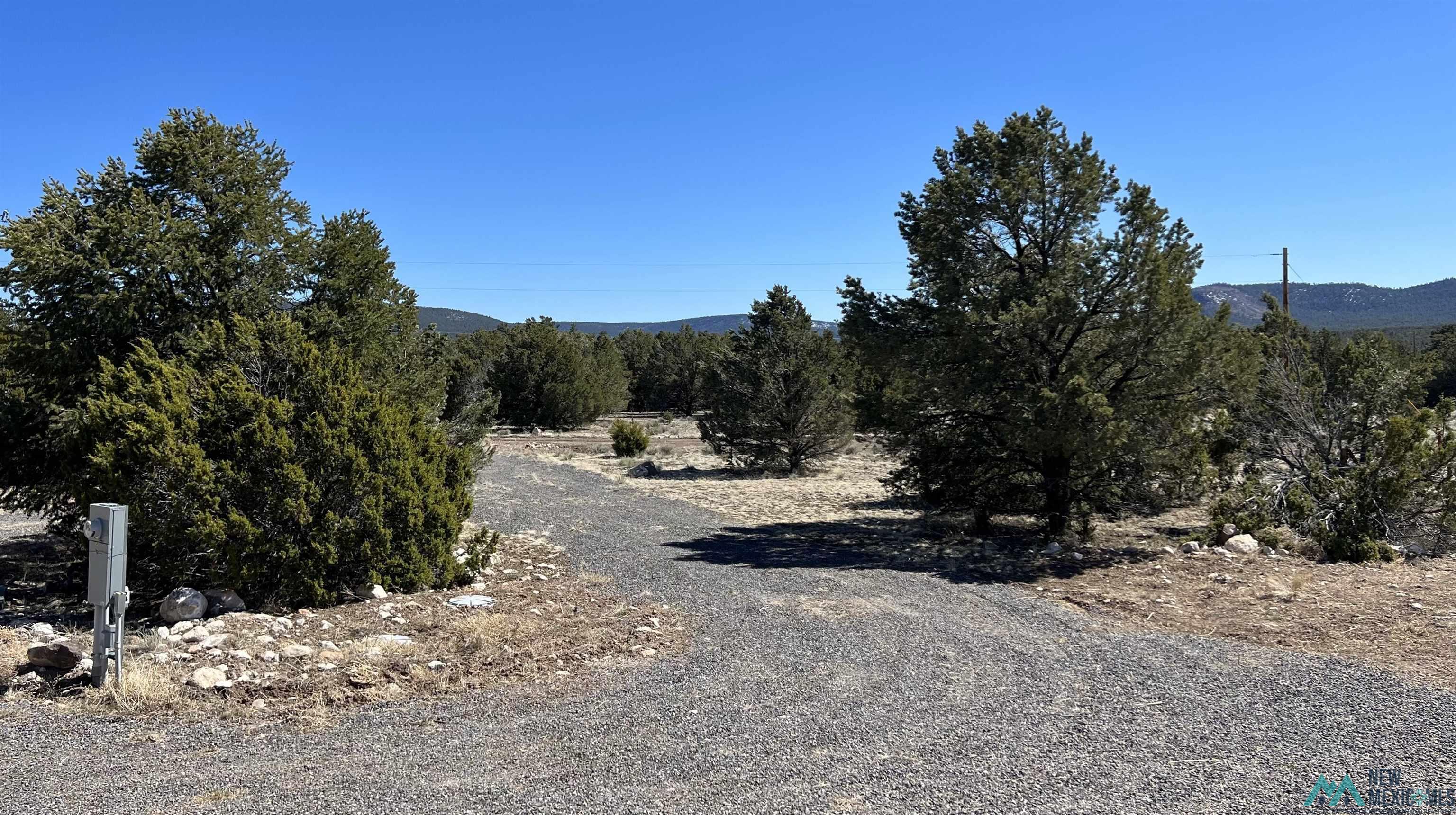 3 Silver Spur, Quemado, New Mexico image 28