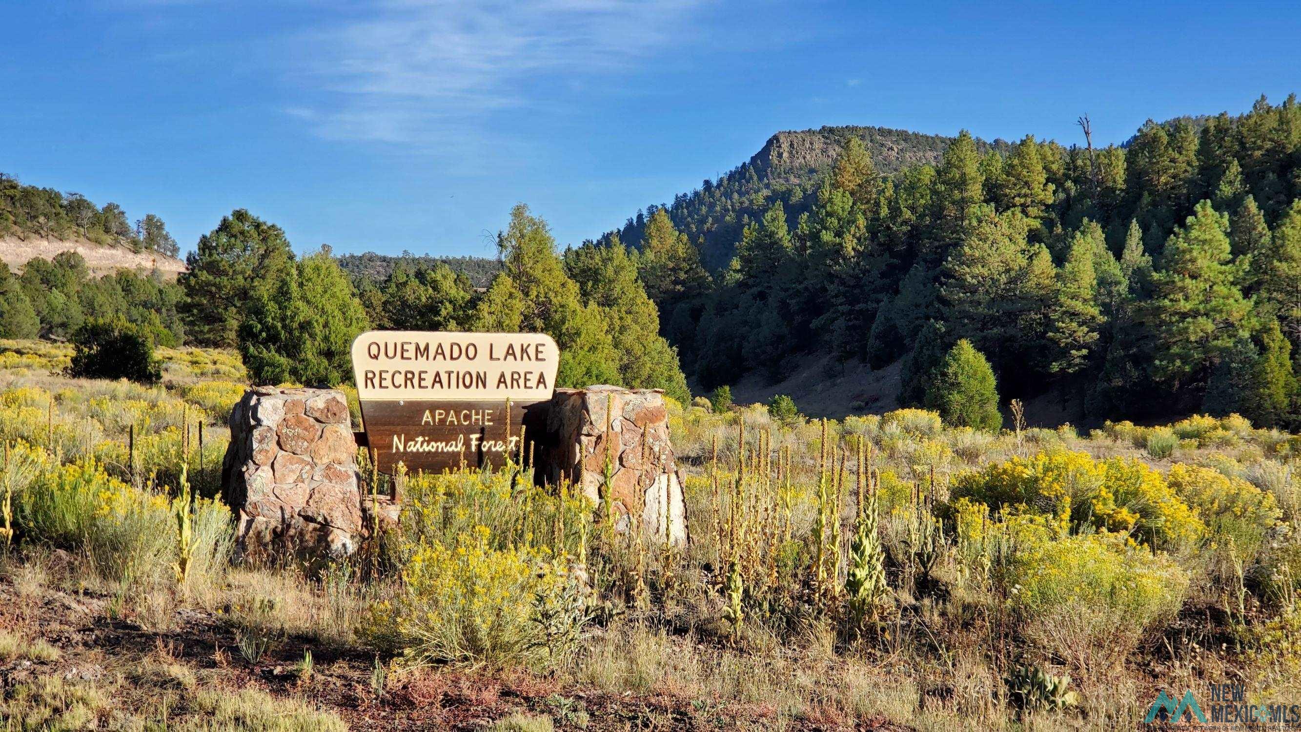 3 Silver Spur, Quemado, New Mexico image 37