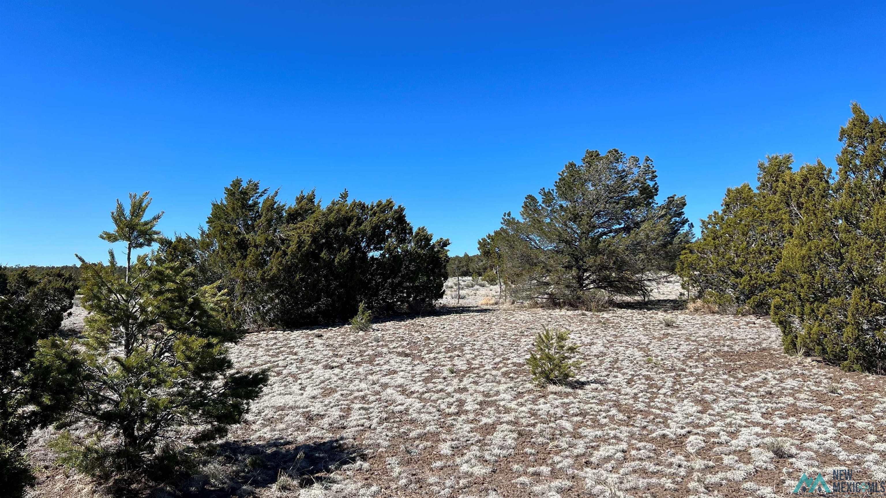 3 Silver Spur, Quemado, New Mexico image 32