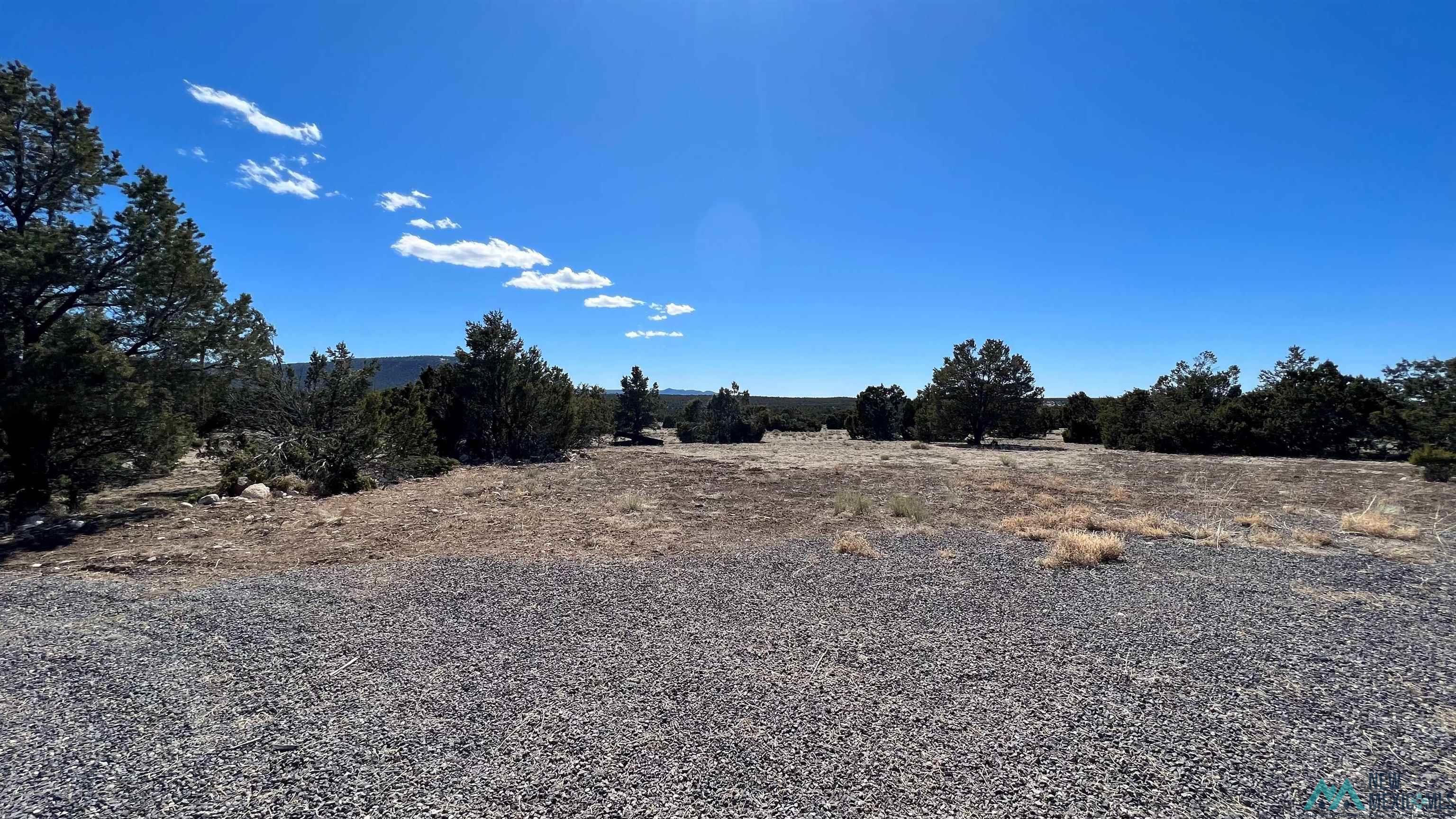 3 Silver Spur, Quemado, New Mexico image 29