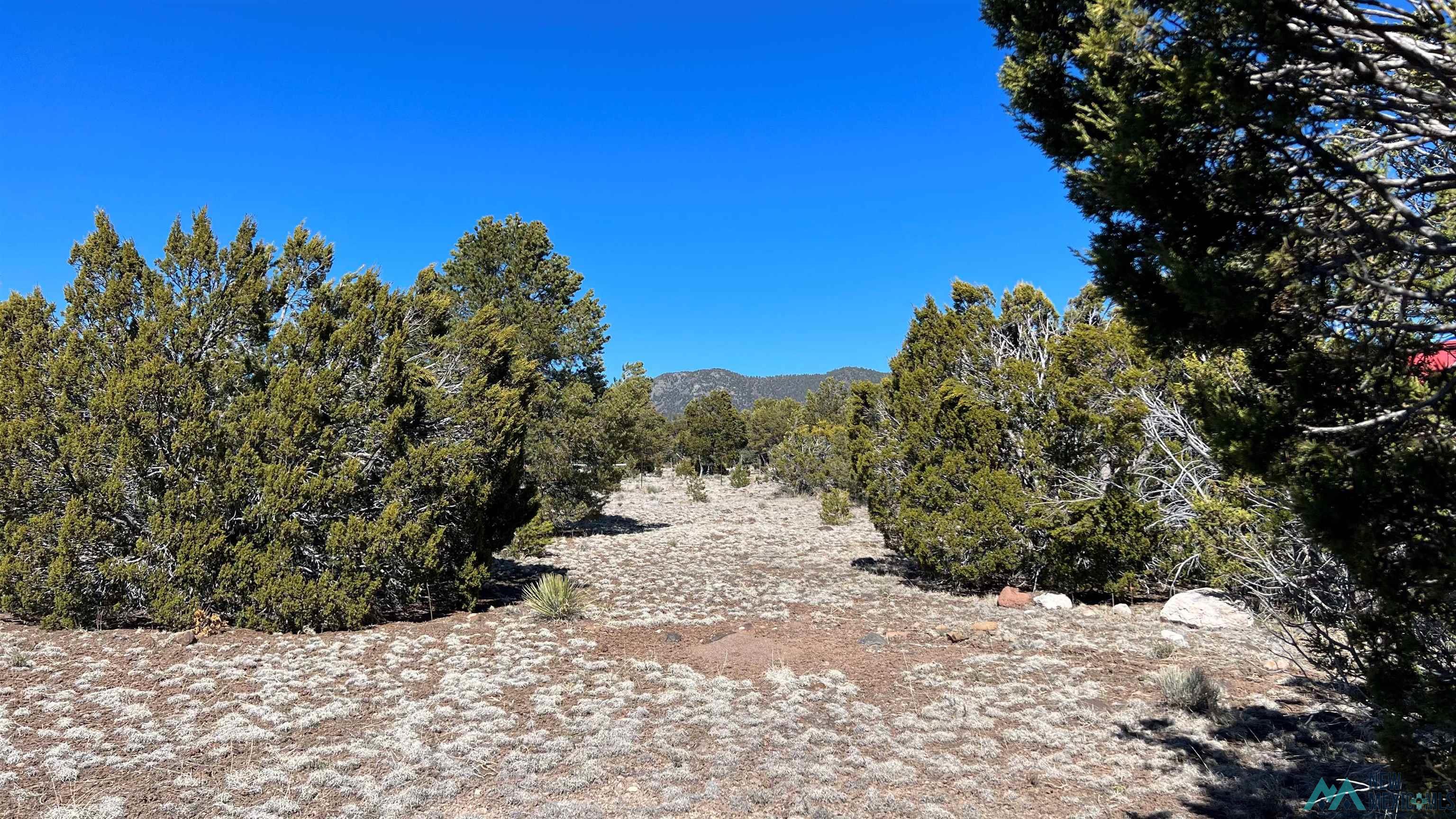 3 Silver Spur, Quemado, New Mexico image 31